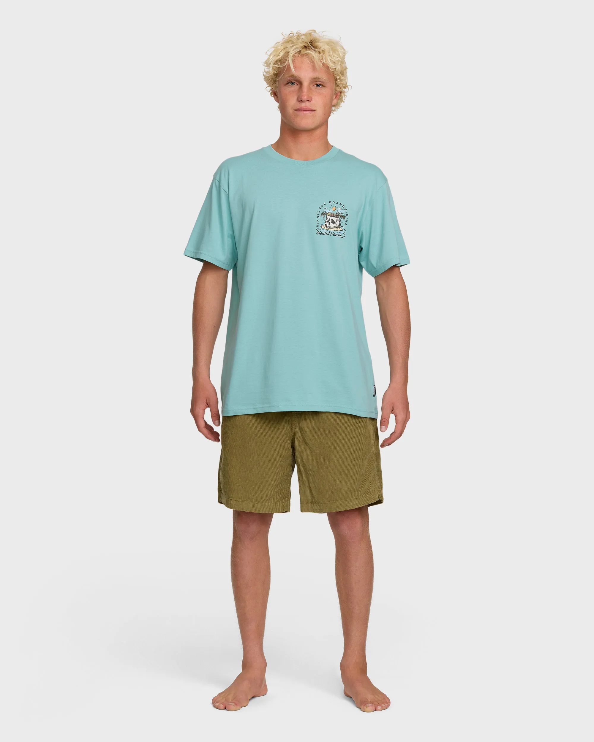Simple Pleasures T-Shirt - Jade Gray sold by Quiksilver product image thumbnail 4