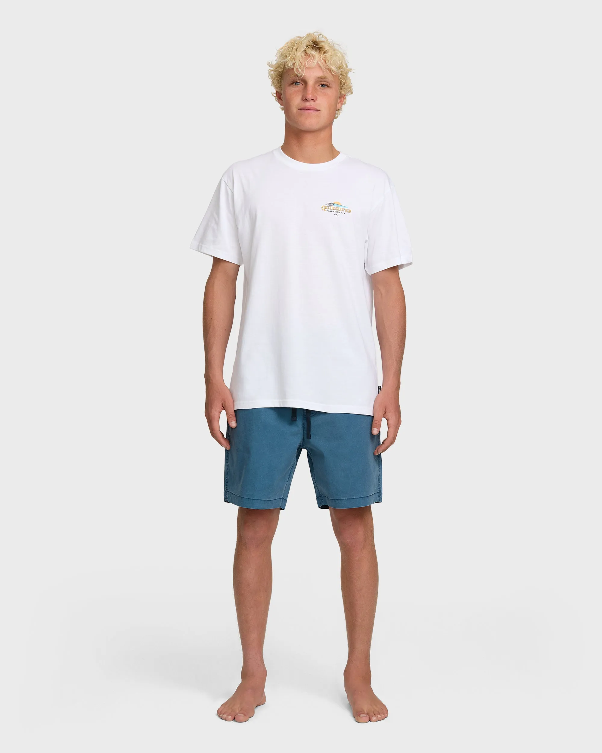 California Surf T-Shirt - White sold by Quiksilver product image thumbnail 4