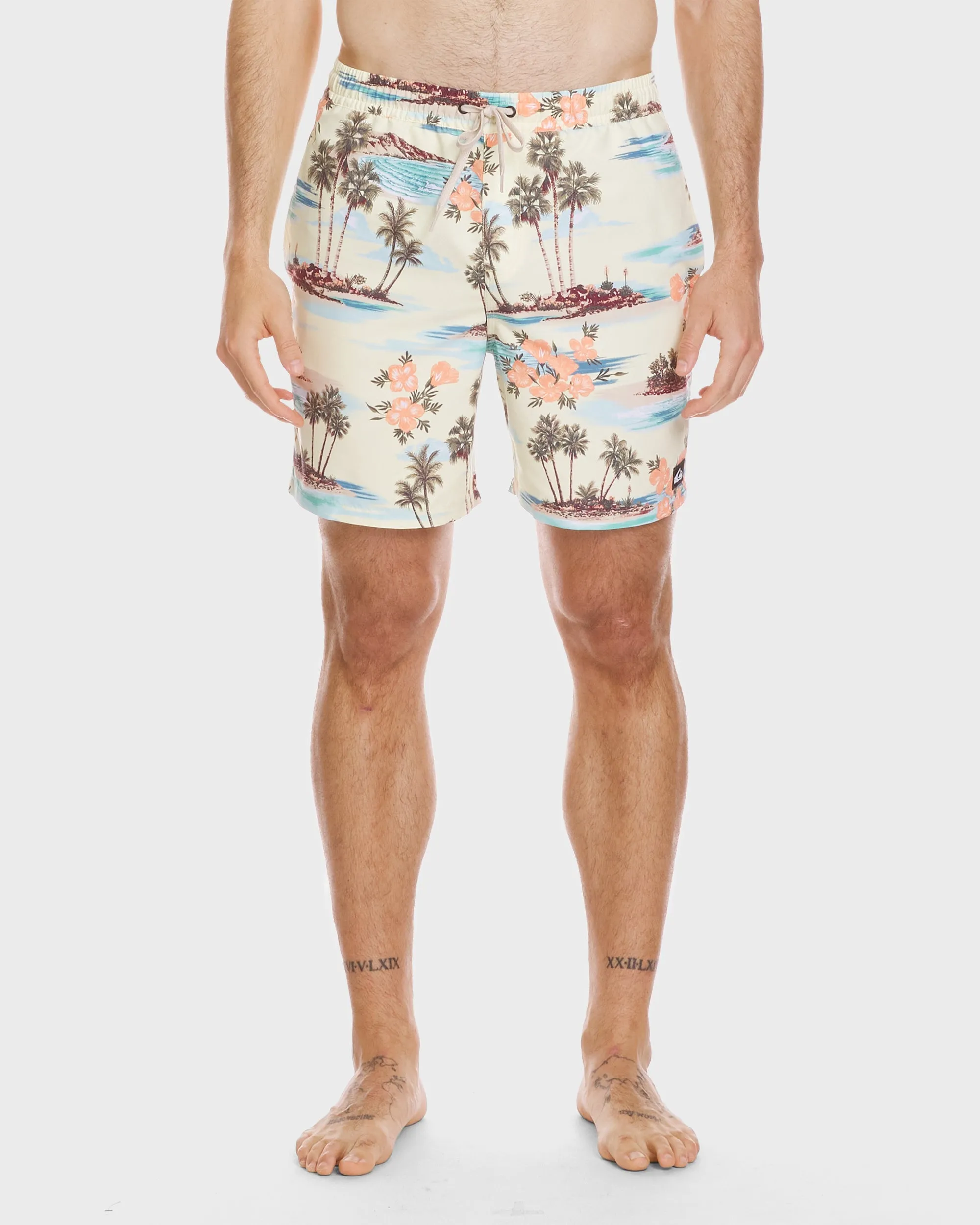 Everyday Mix 17" Swim Trunks - Silver Birch sold by Quiksilver