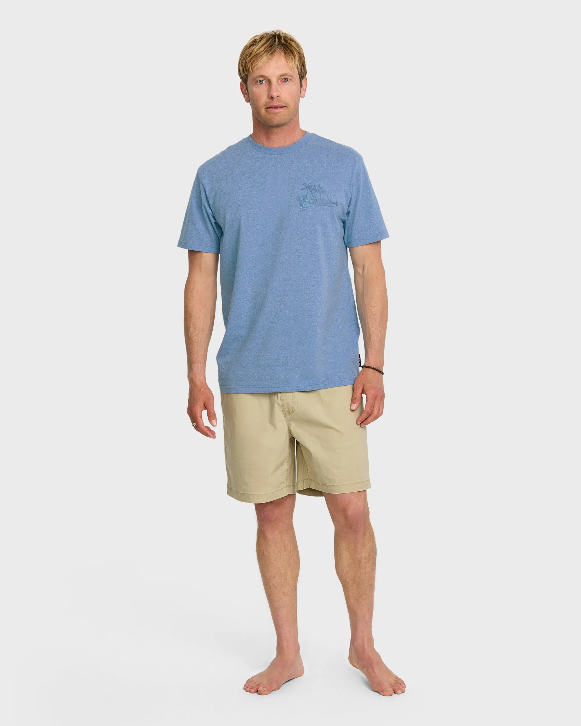 Tropics T-Shirt - Niagara Heather sold by Quiksilver product image thumbnail 3
