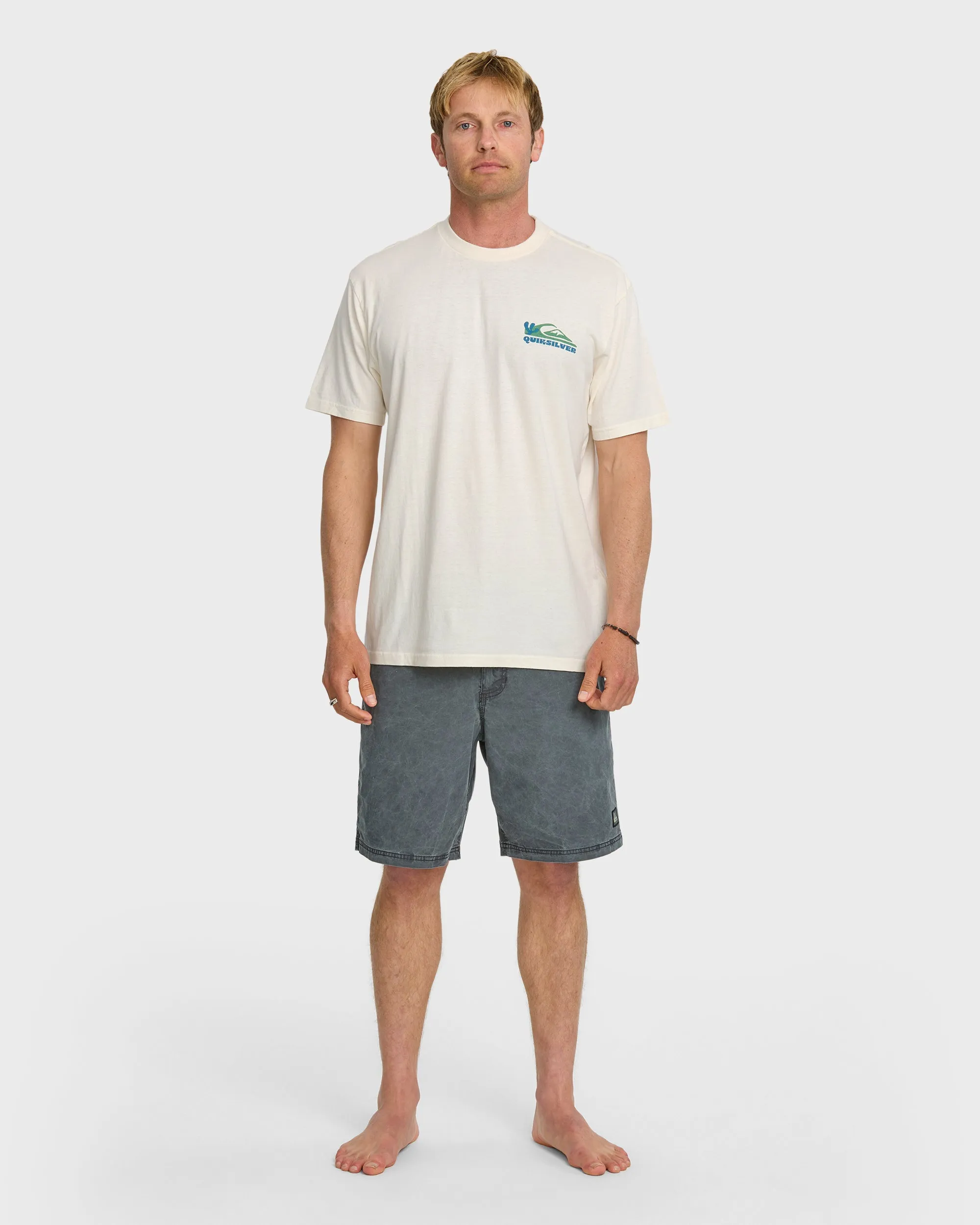 Everyday Paradise Stw T-Shirt - Tofu sold by Quiksilver product image thumbnail 3