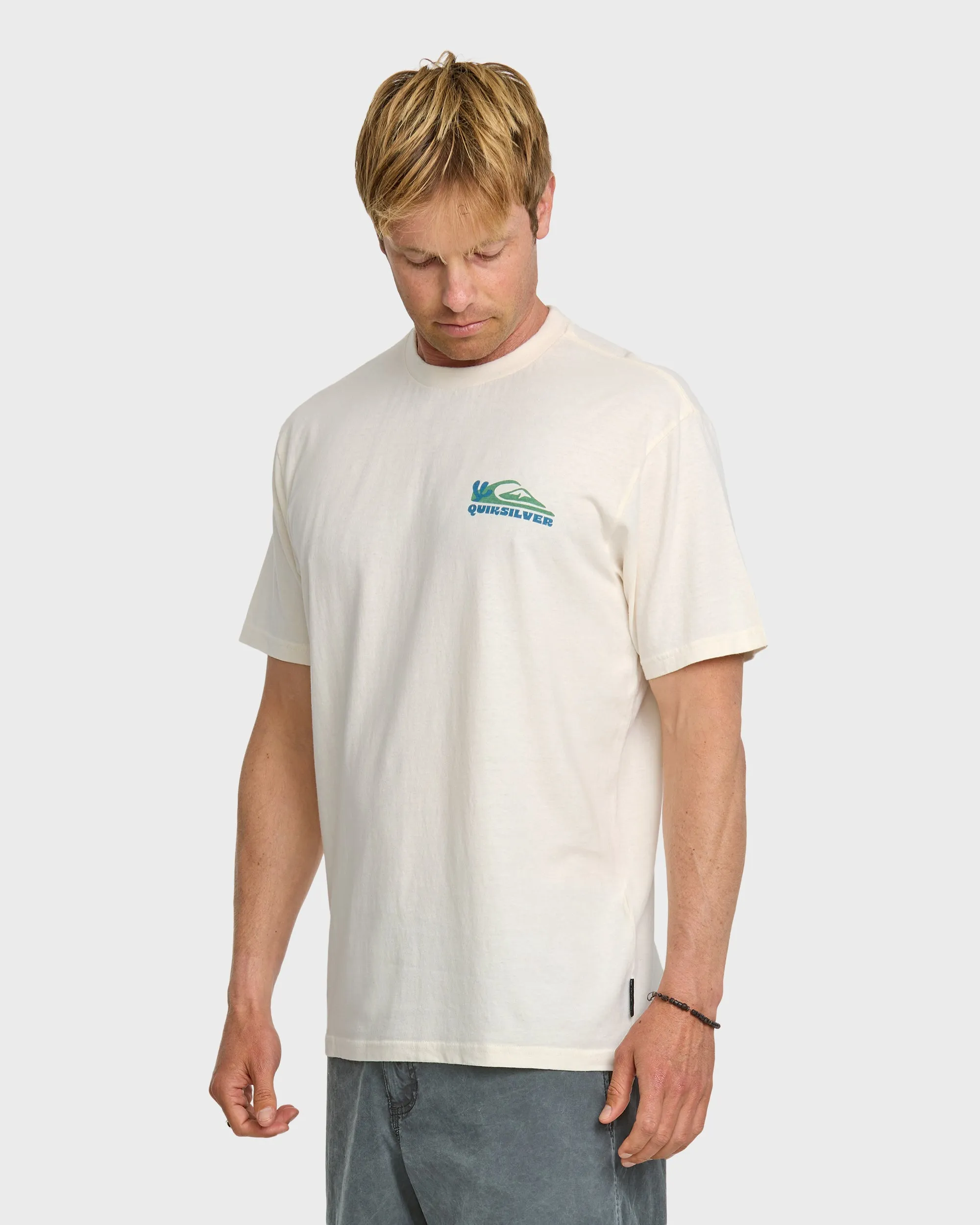 Everyday Paradise Stw T-Shirt - Tofu sold by Quiksilver product image thumbnail 4