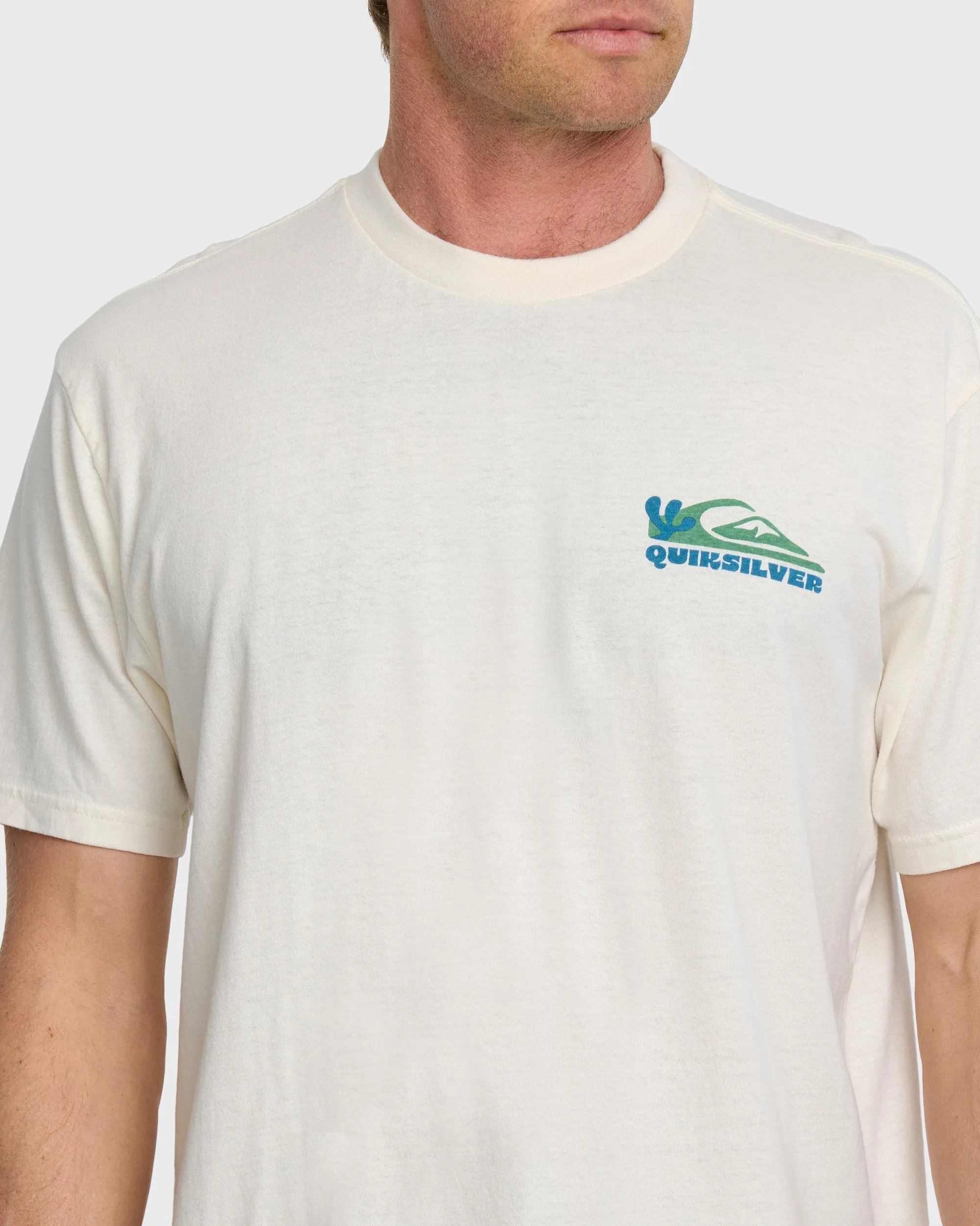 Everyday Paradise Stw T-Shirt - Tofu sold by Quiksilver product image thumbnail 5