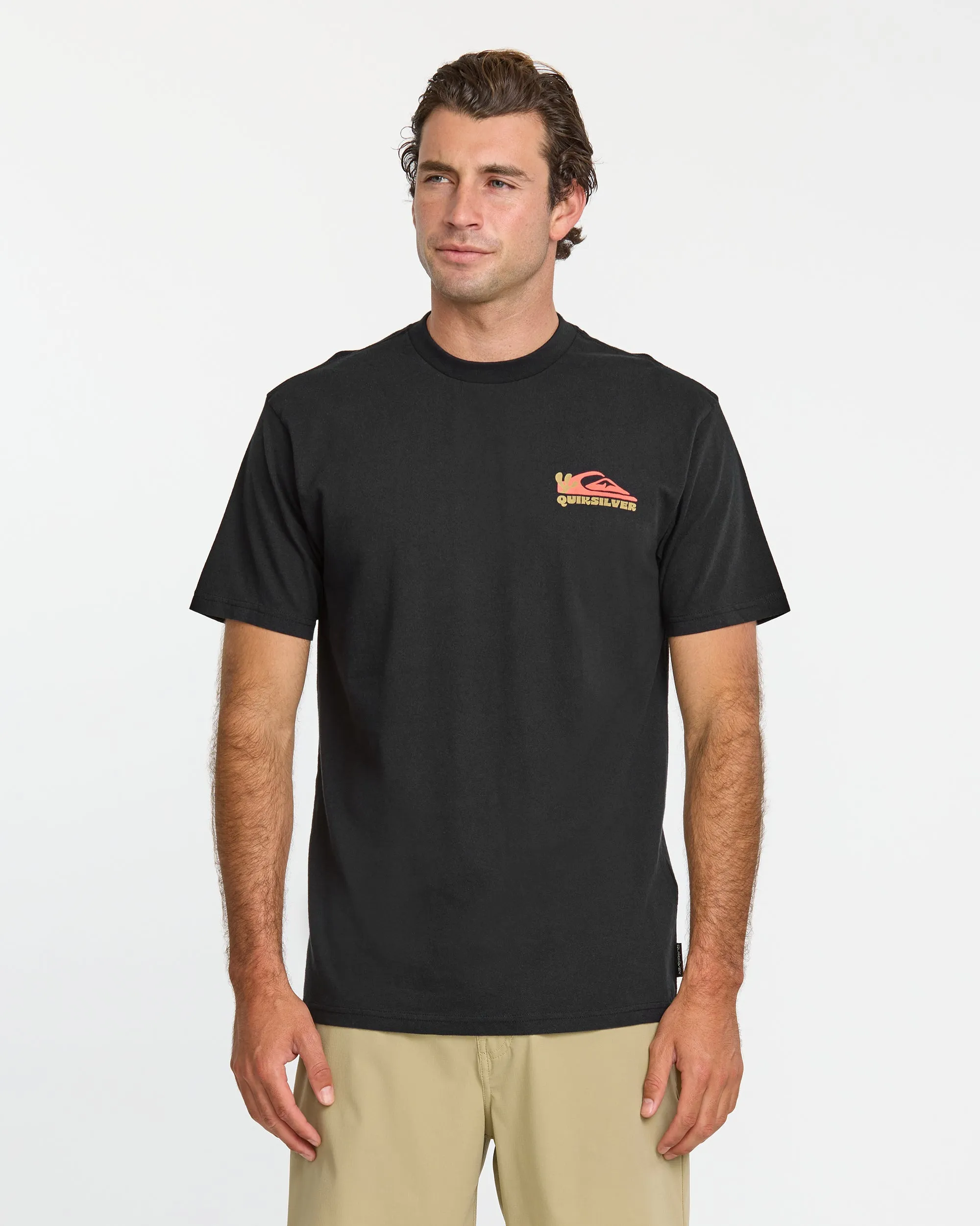 Everyday Paradise Stw T-Shirt - Black sold by Quiksilver