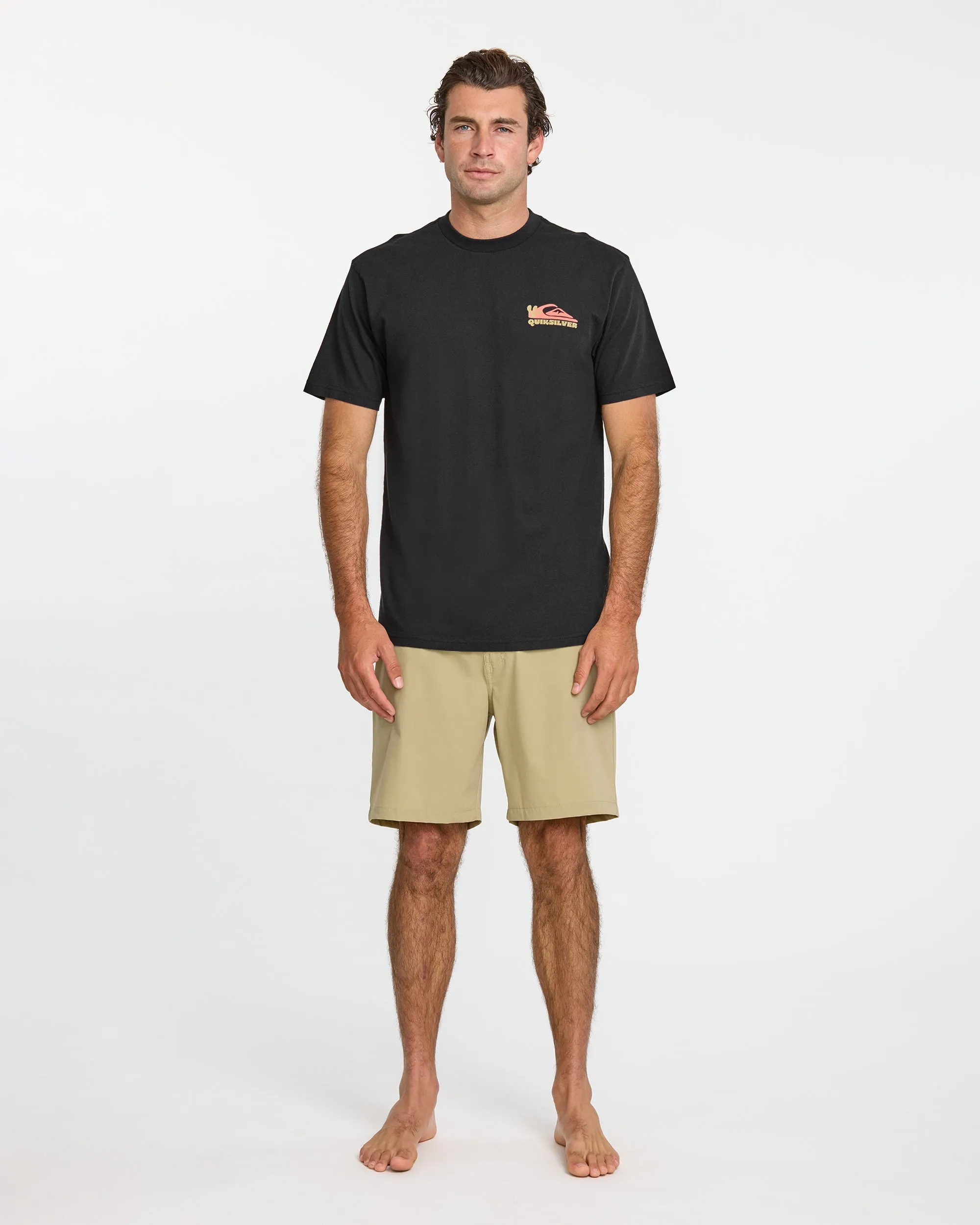 Everyday Paradise Stw T-Shirt - Black sold by Quiksilver product image thumbnail 3