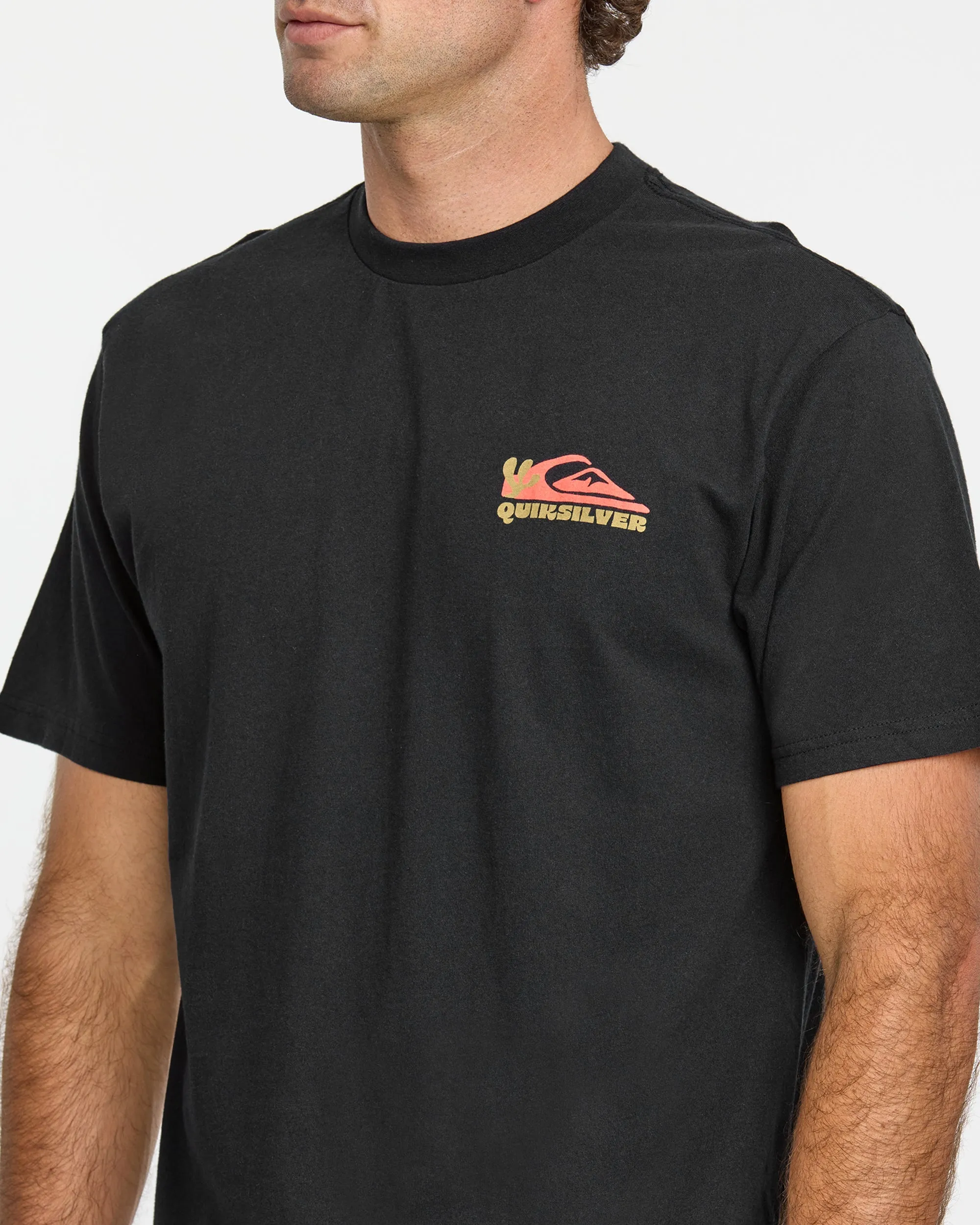 Everyday Paradise Stw T-Shirt - Black sold by Quiksilver product image thumbnail 5