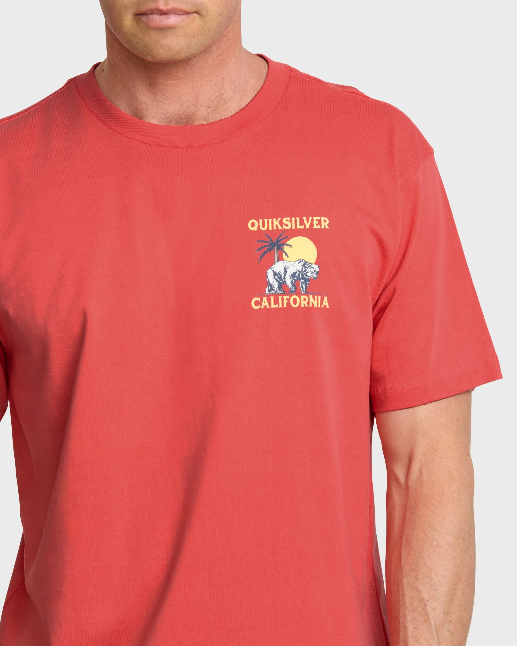 Ca Bear Set T-Shirt - Coral sold by Quiksilver product image thumbnail 5