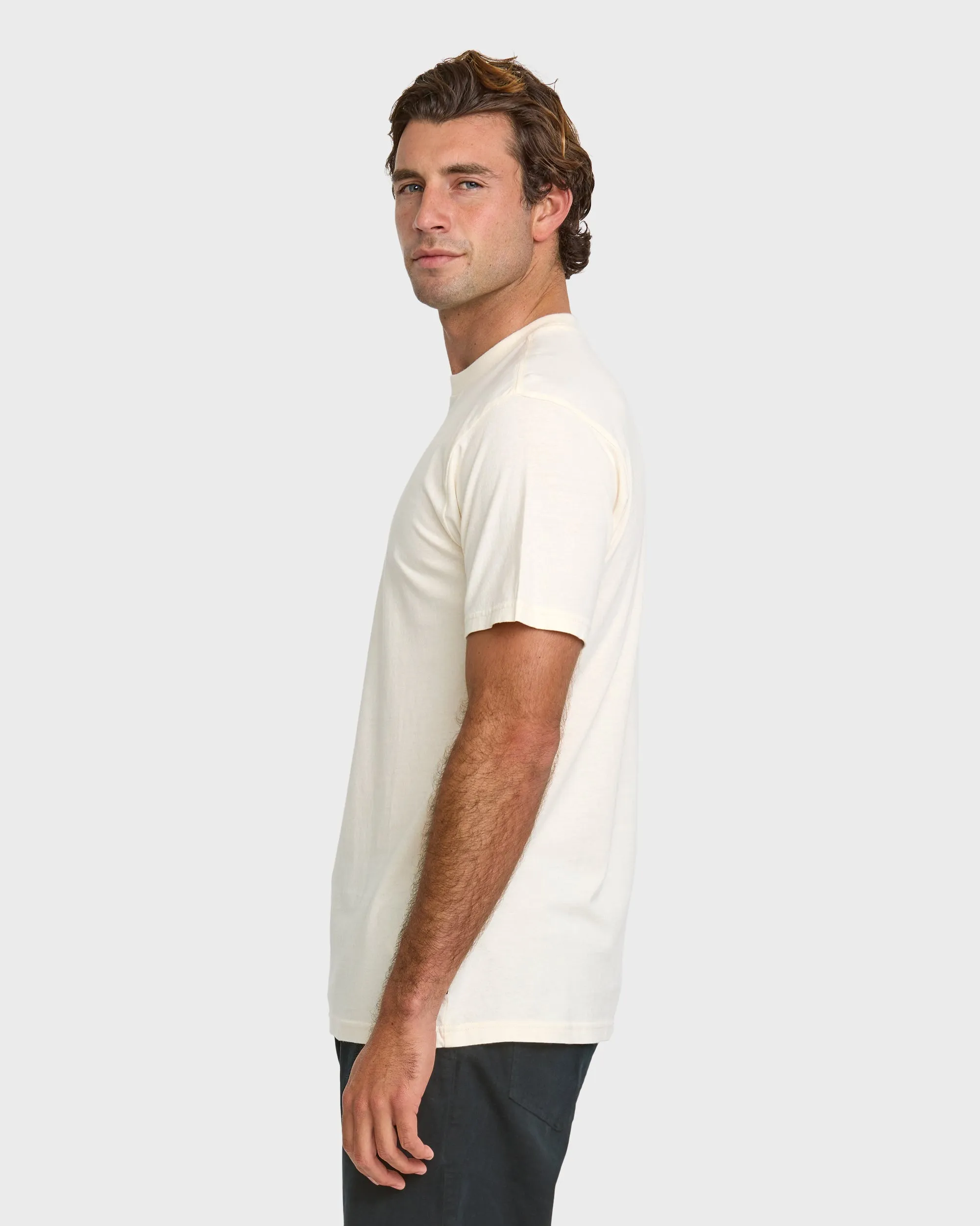 Bloomy Stw T-Shirt - Tofu sold by Quiksilver product image thumbnail 4
