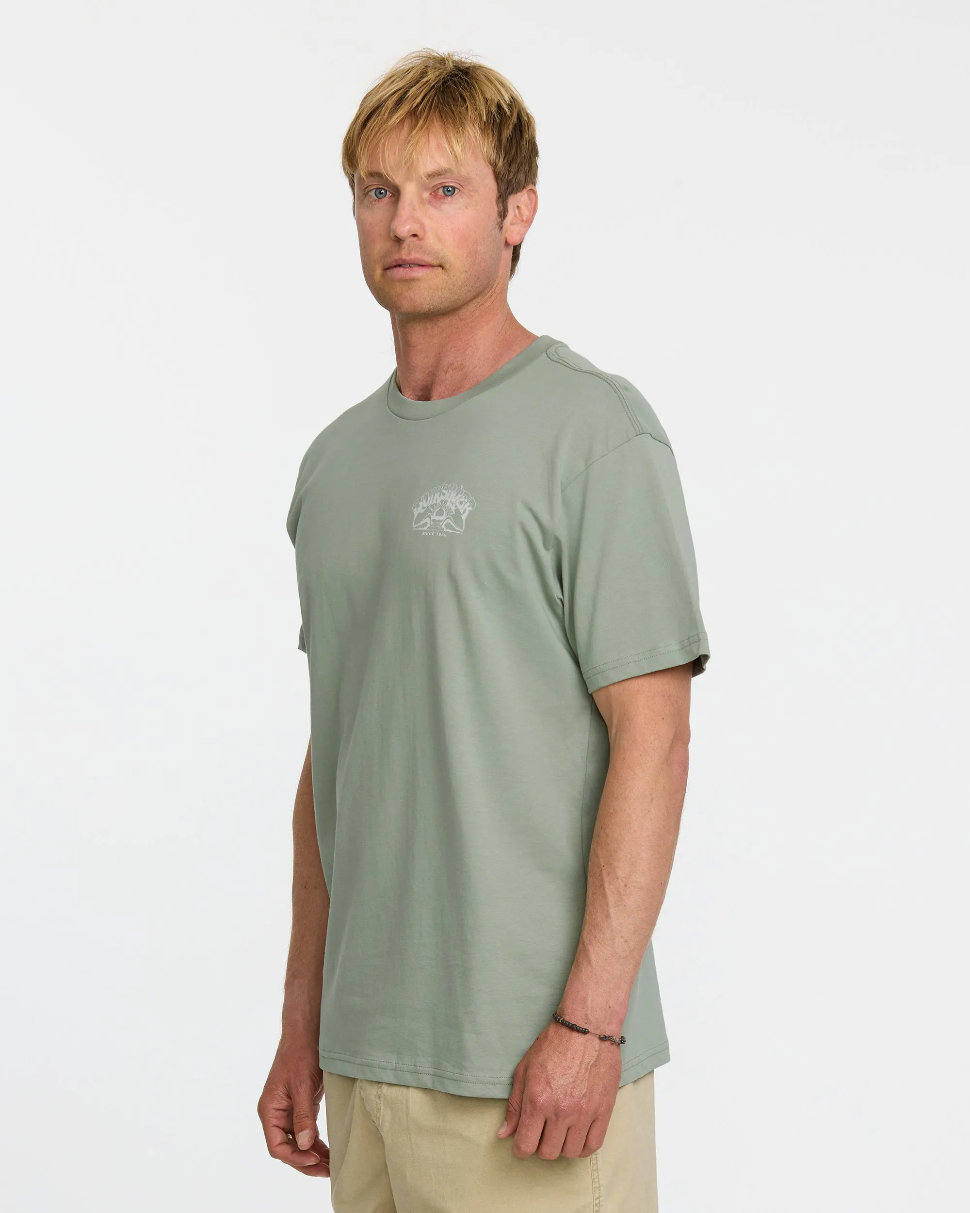 A Frame Arch T-Shirt - Herb sold by Quiksilver product image thumbnail 4