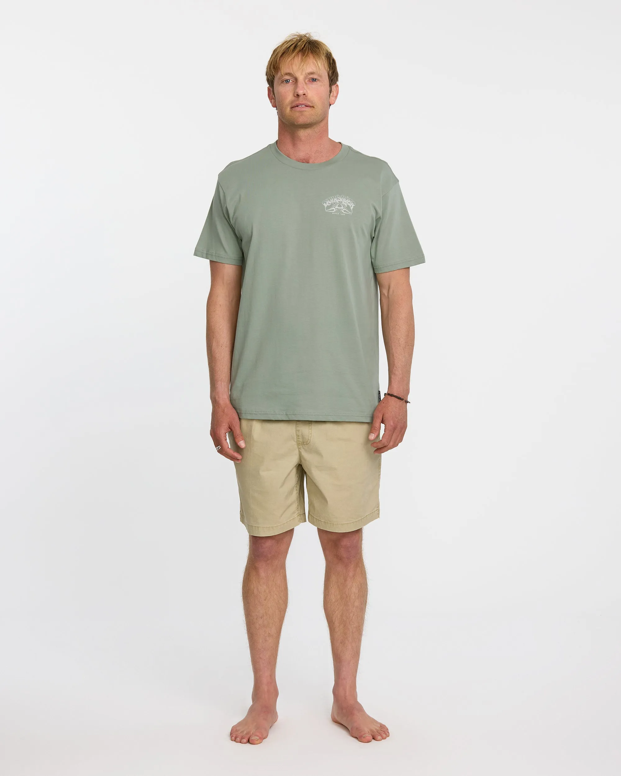 A Frame Arch T-Shirt - Herb sold by Quiksilver product image thumbnail 3
