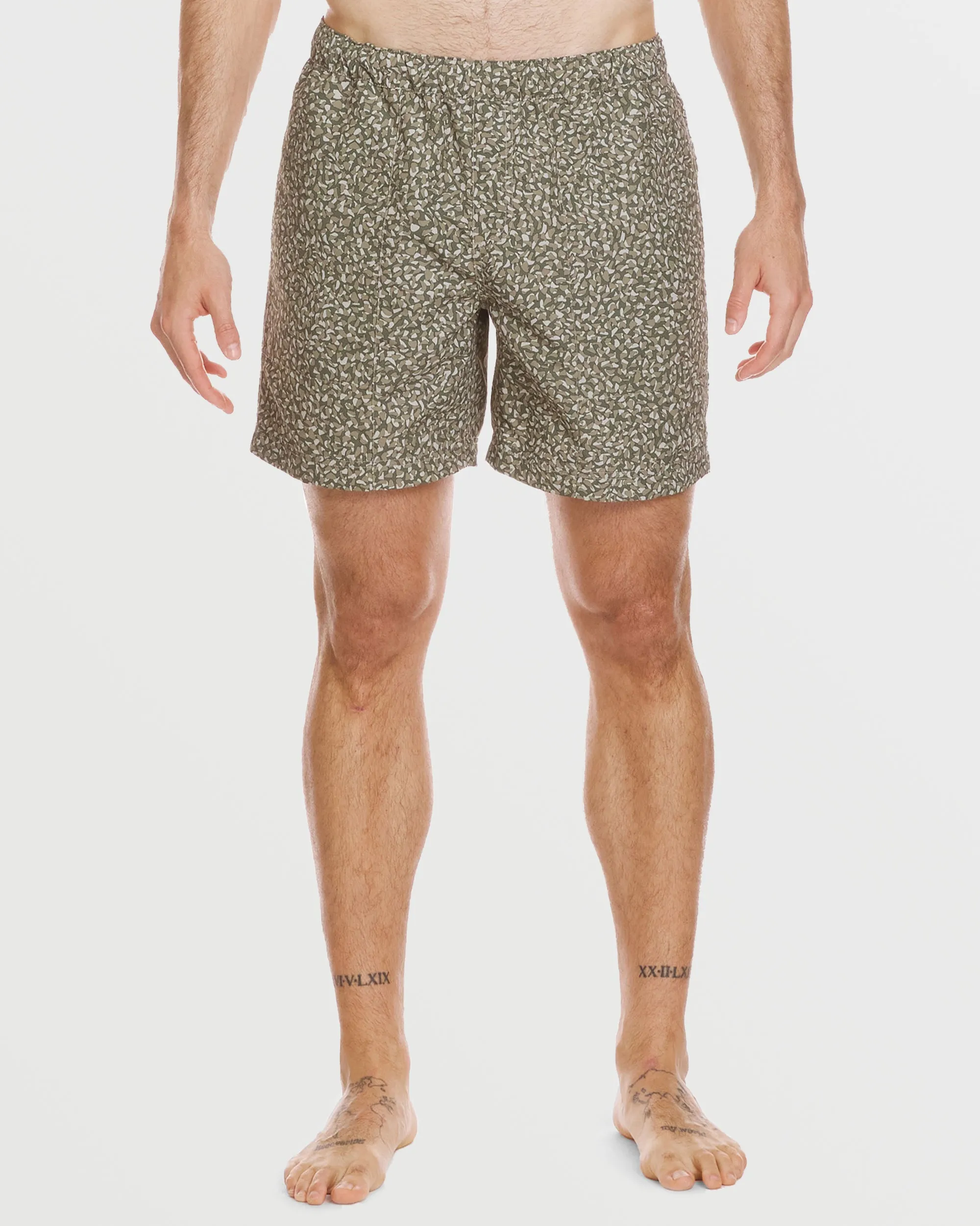 Everyday Mix 17" Swim Trunks - Aloe sold by Quiksilver