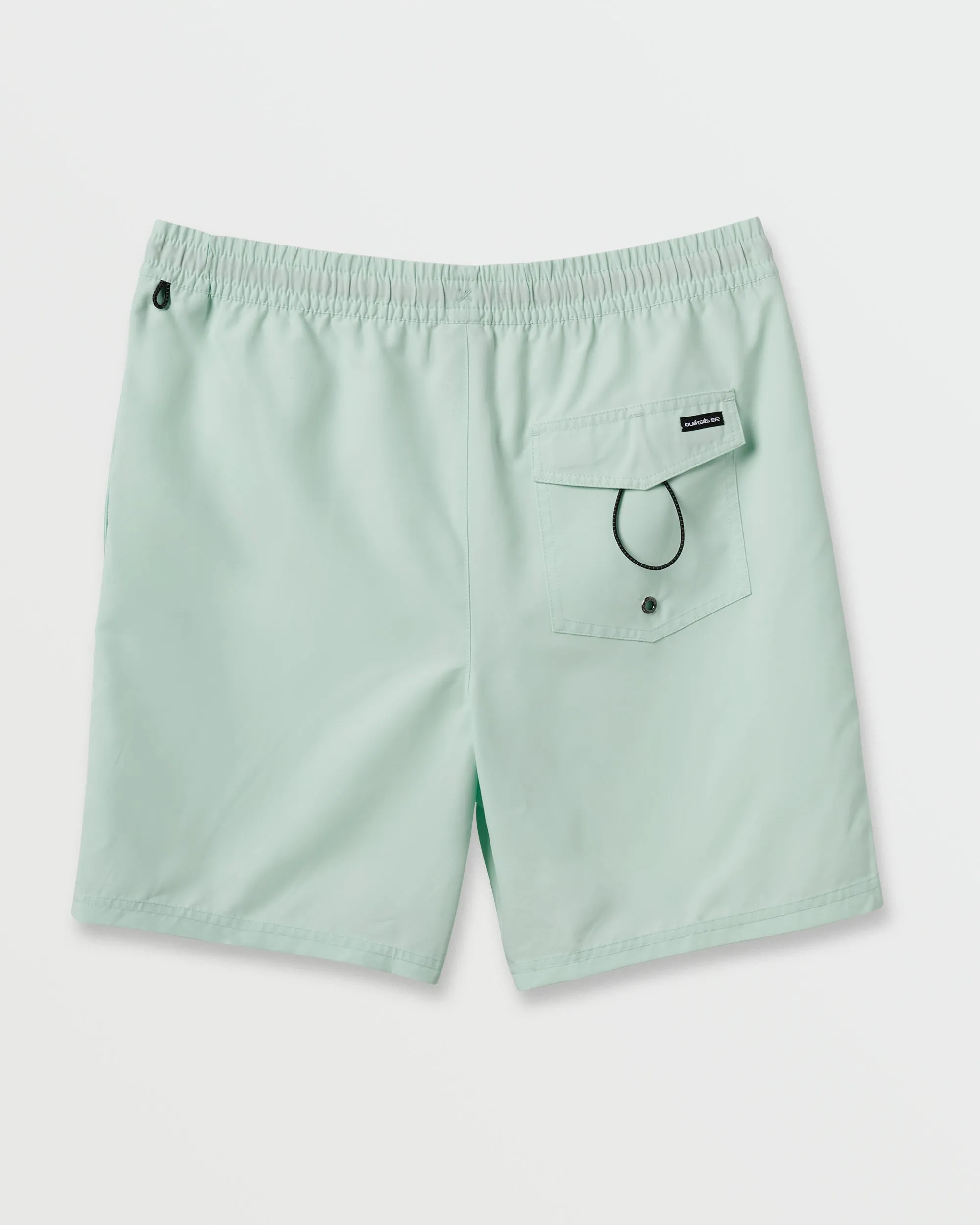 Everyday Solid 17" Swim Trunks - Jade sold by Quiksilver product image thumbnail 2