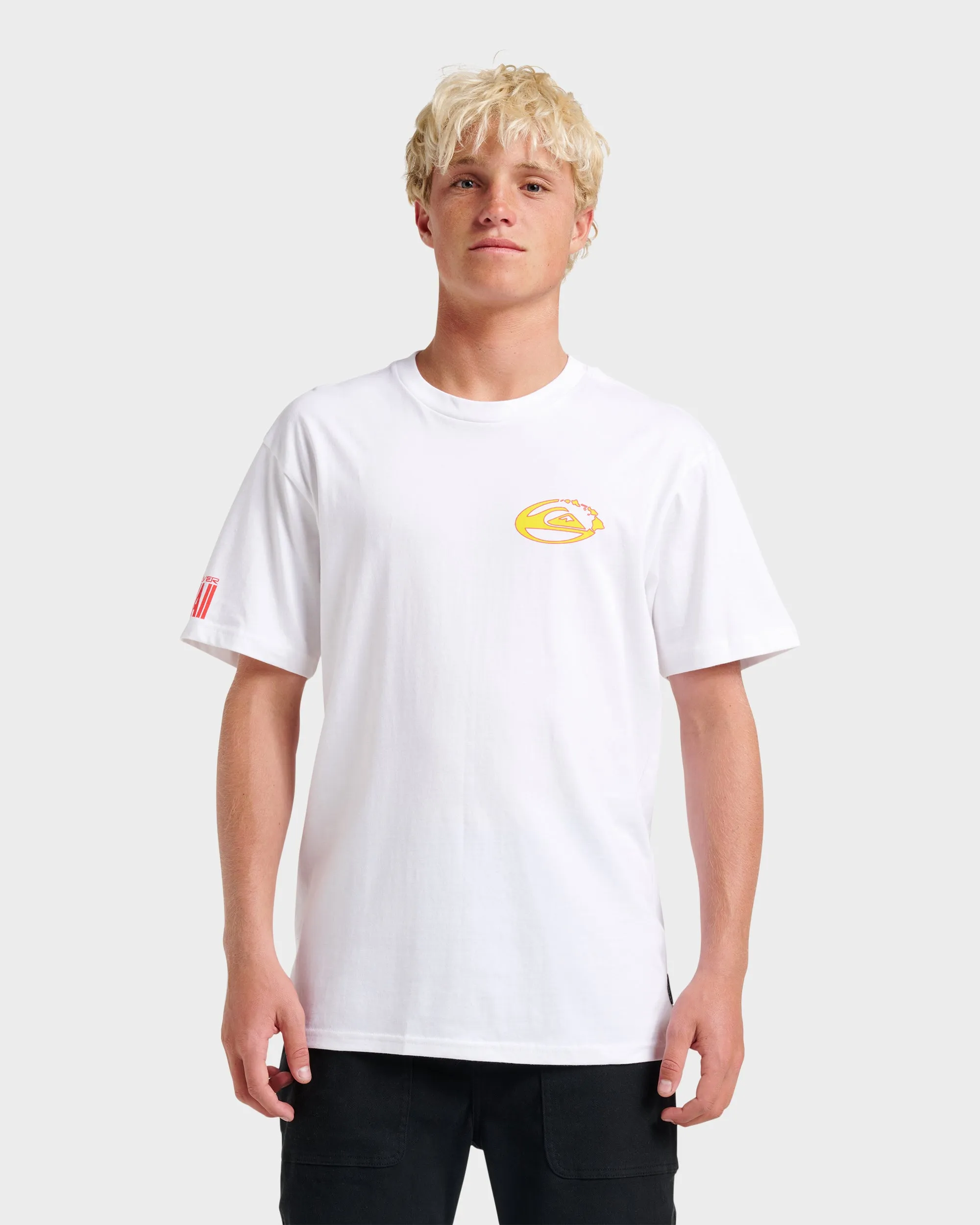 Hi Kingdom Of Hawaii Classic T-shirt - White sold by Quiksilver