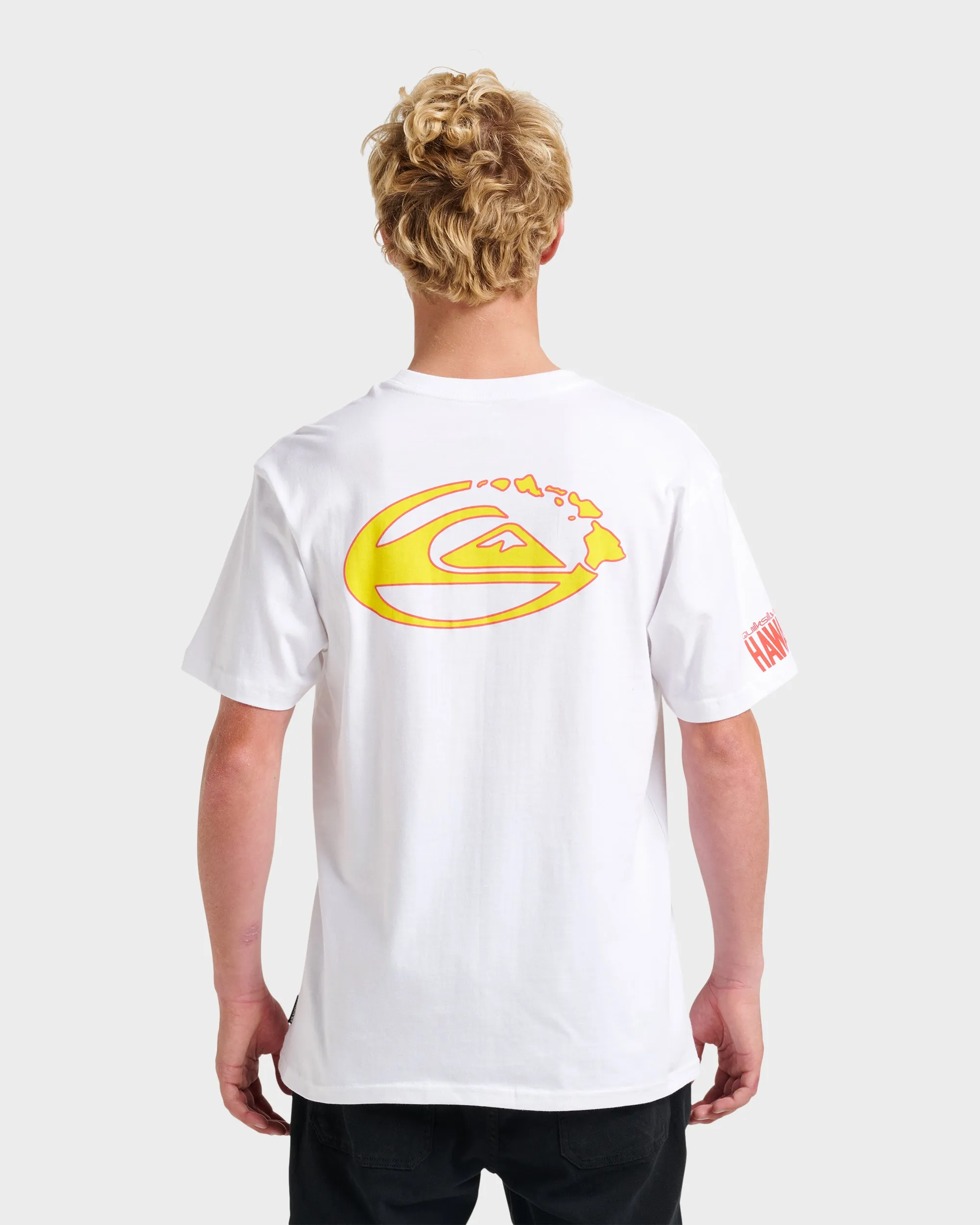Hi Kingdom Of Hawaii Classic T-shirt - White sold by Quiksilver product image thumbnail 2