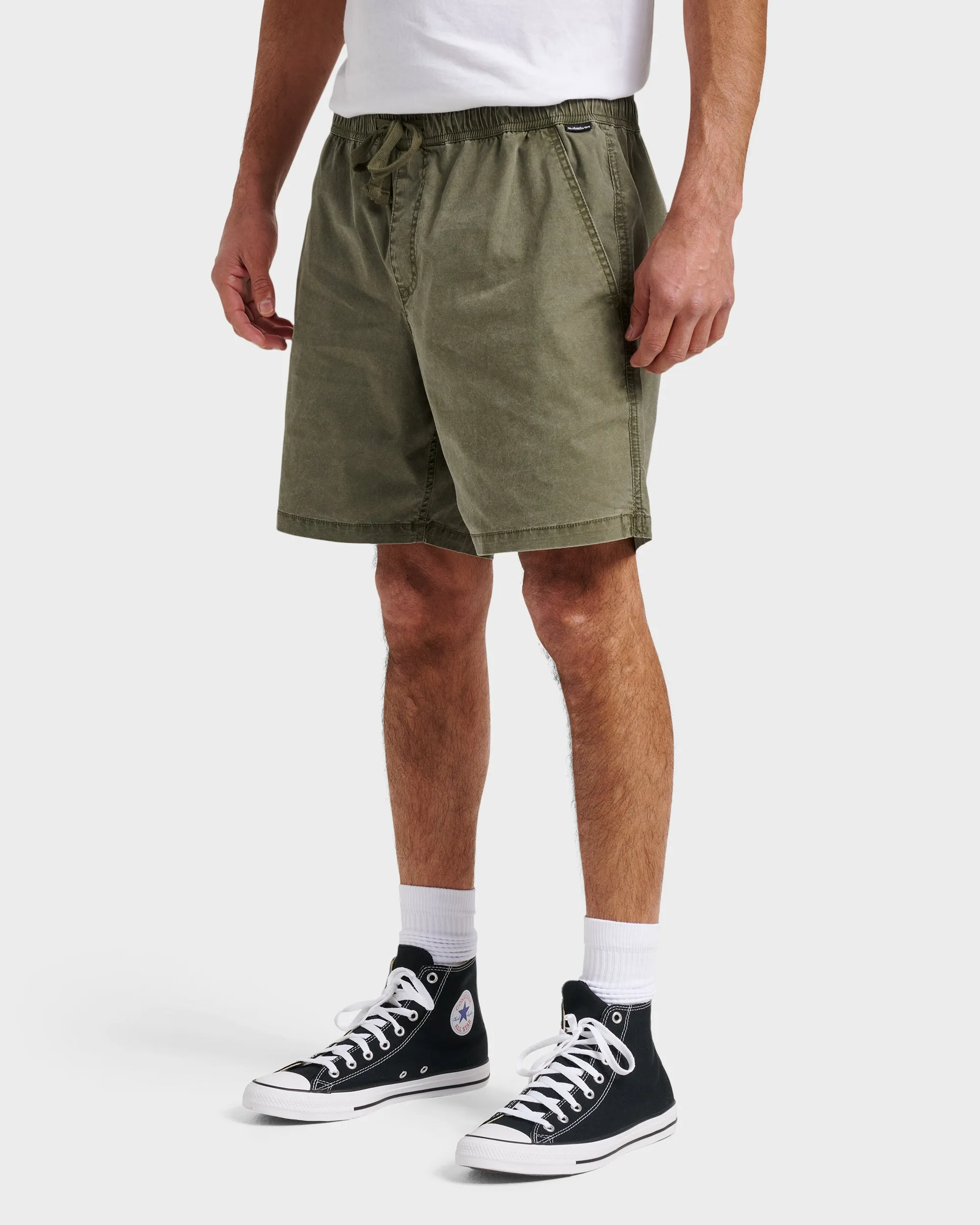 Taxer Shorts - Grape Leaf sold by Quiksilver product image thumbnail 3