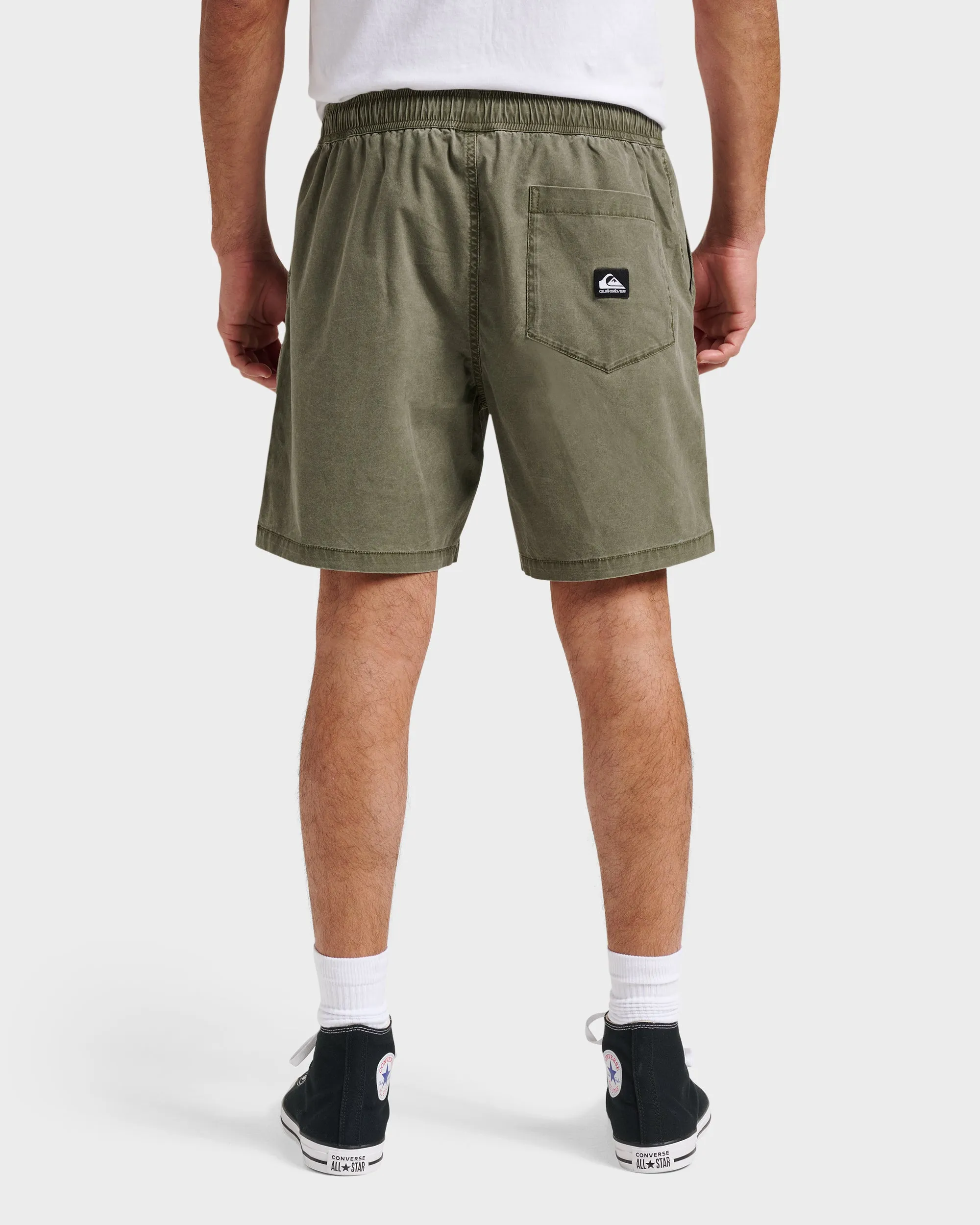 Taxer Shorts - Grape Leaf sold by Quiksilver product image thumbnail 2