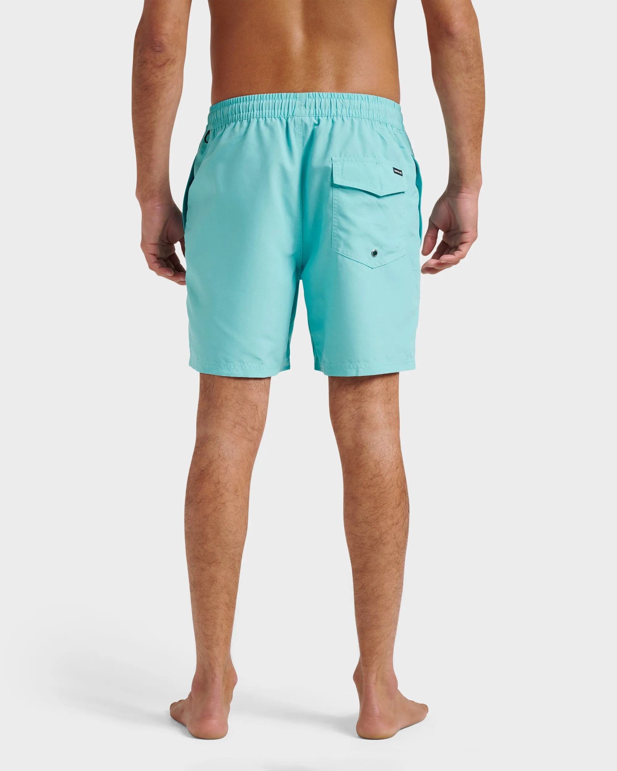 Everyday Solid 15" Swim Trunks - Aqua Sky sold by Quiksilver product image thumbnail 2