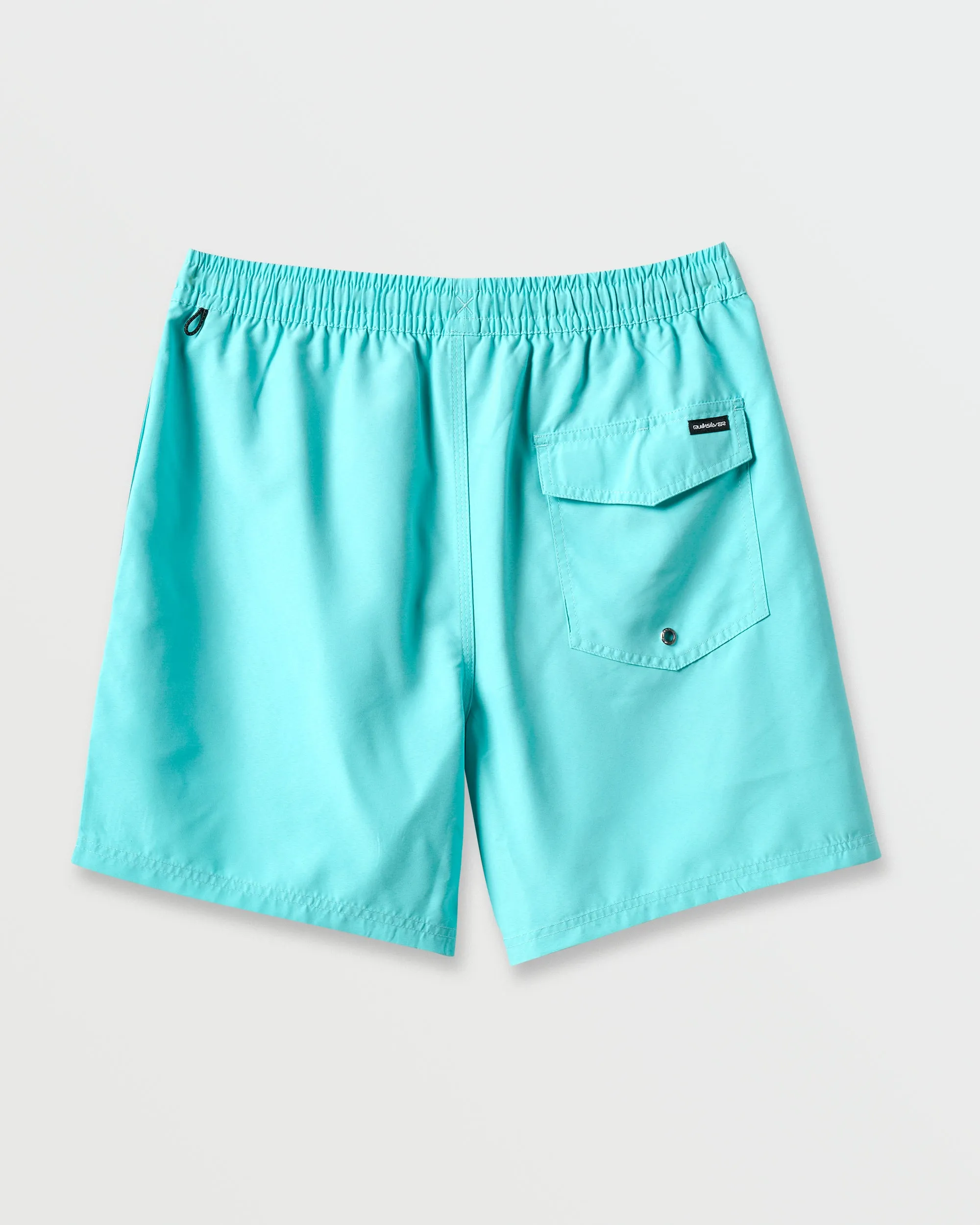 Everyday Solid 15" Swim Trunks - Aqua Sky sold by Quiksilver product image thumbnail 5