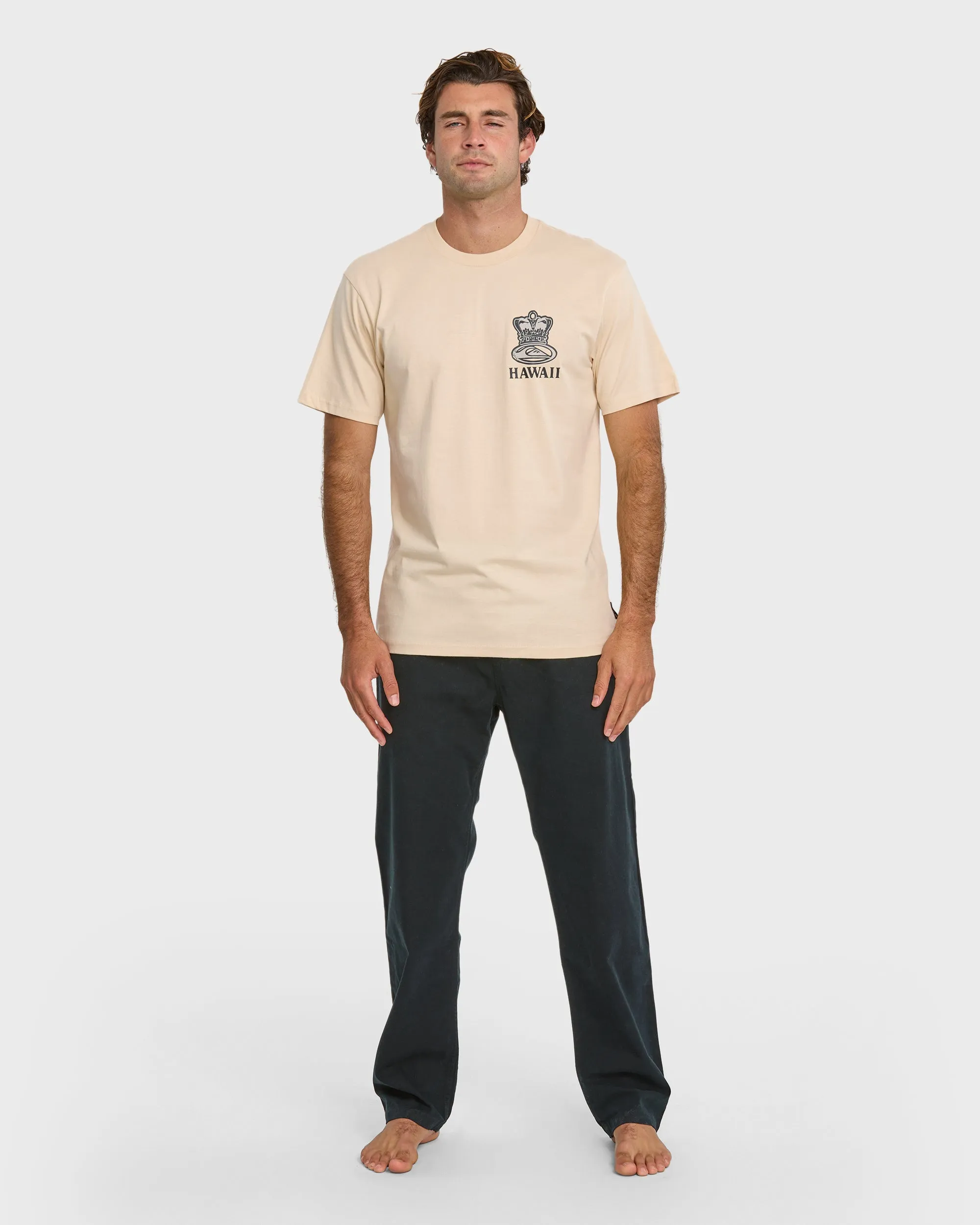 808 Represent Classic T-shirt - Fog sold by Quiksilver product image thumbnail 3