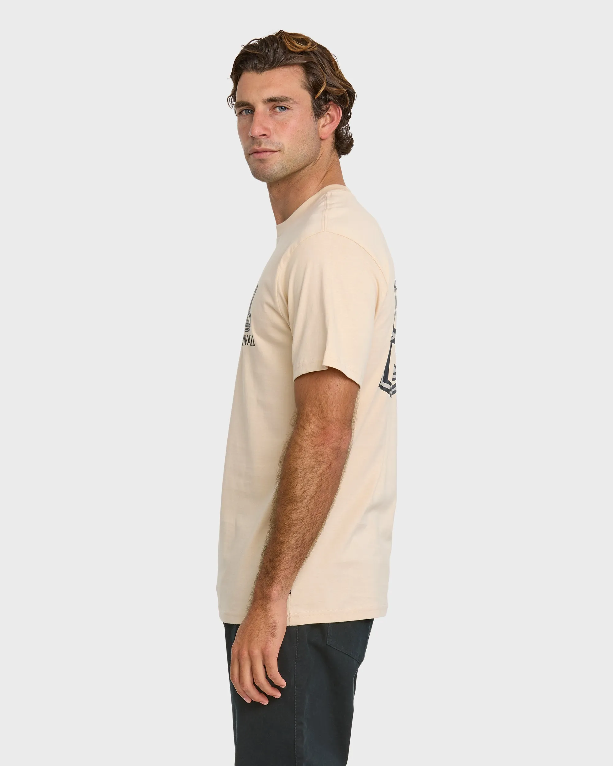 808 Represent Classic T-shirt - Fog sold by Quiksilver product image thumbnail 4