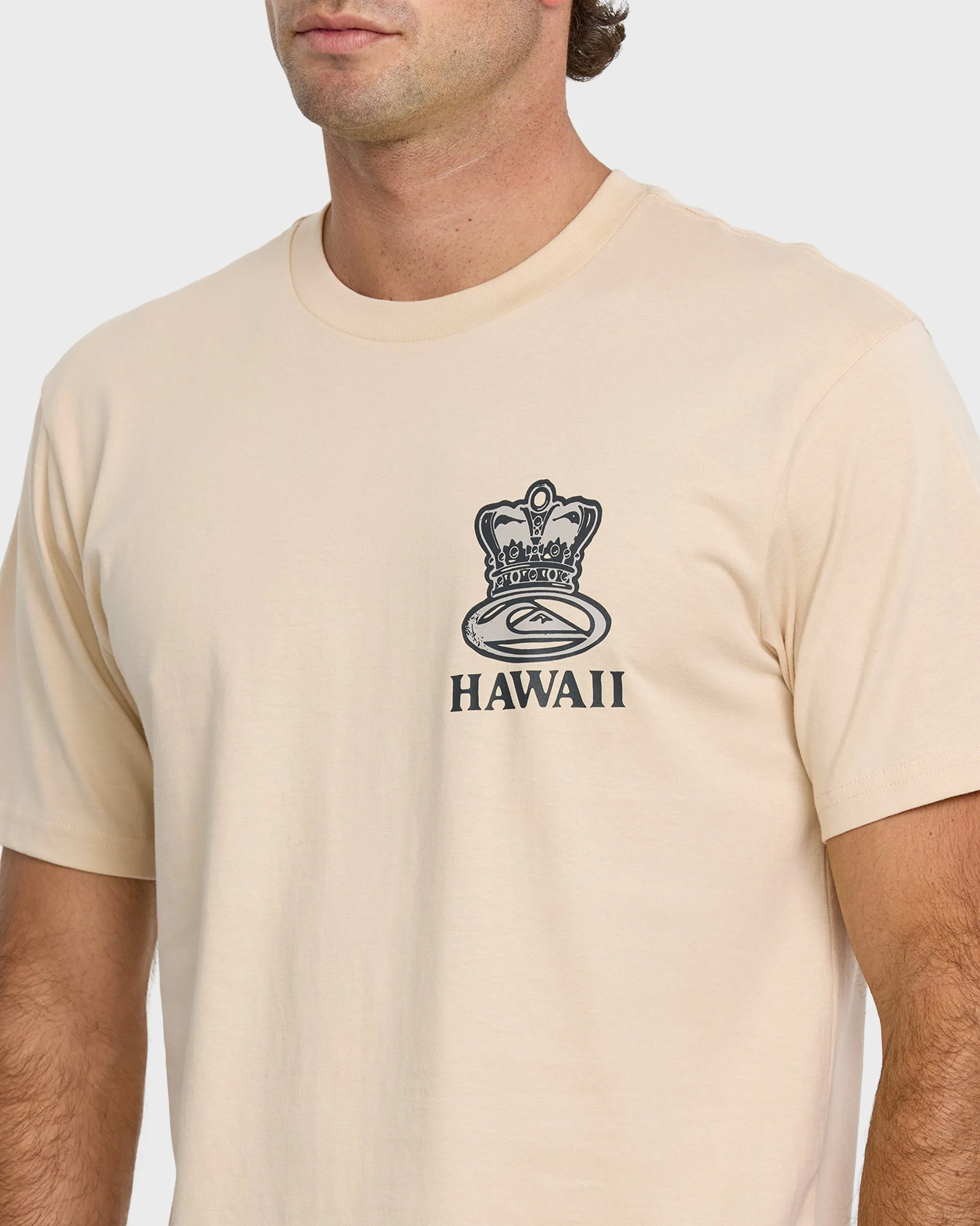 808 Represent Classic T-shirt - Fog sold by Quiksilver product image thumbnail 5