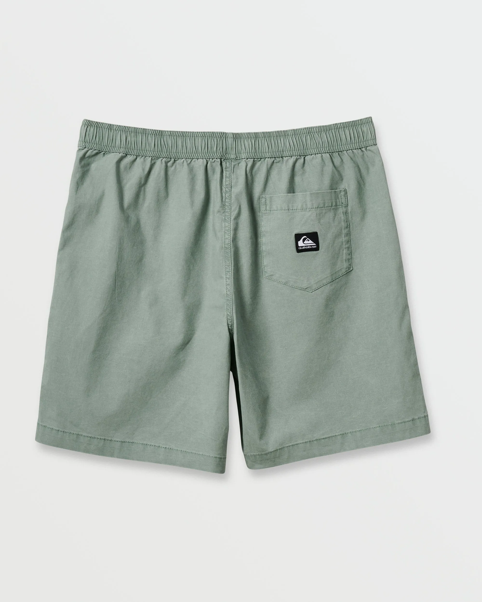 Taxer Shorts - Herb sold by Quiksilver product image thumbnail 2