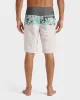 Surfsilk Panel 20" Boardshorts - Silver Birch sold by Quiksilver