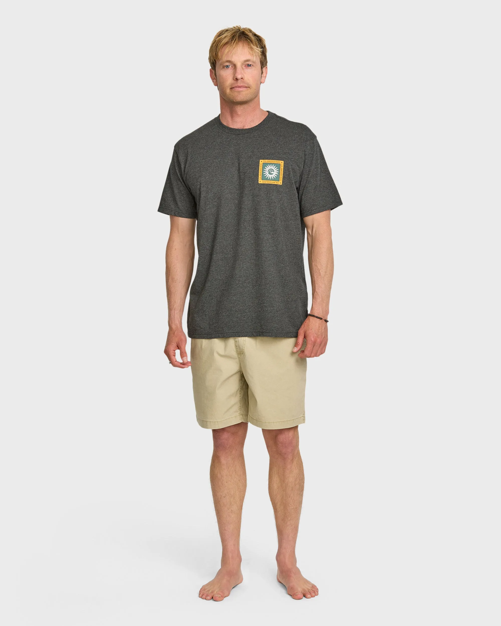 Sun Roots Organic Heather T-Shirt - Silver White Heather sold by Quiksilver product image thumbnail 3
