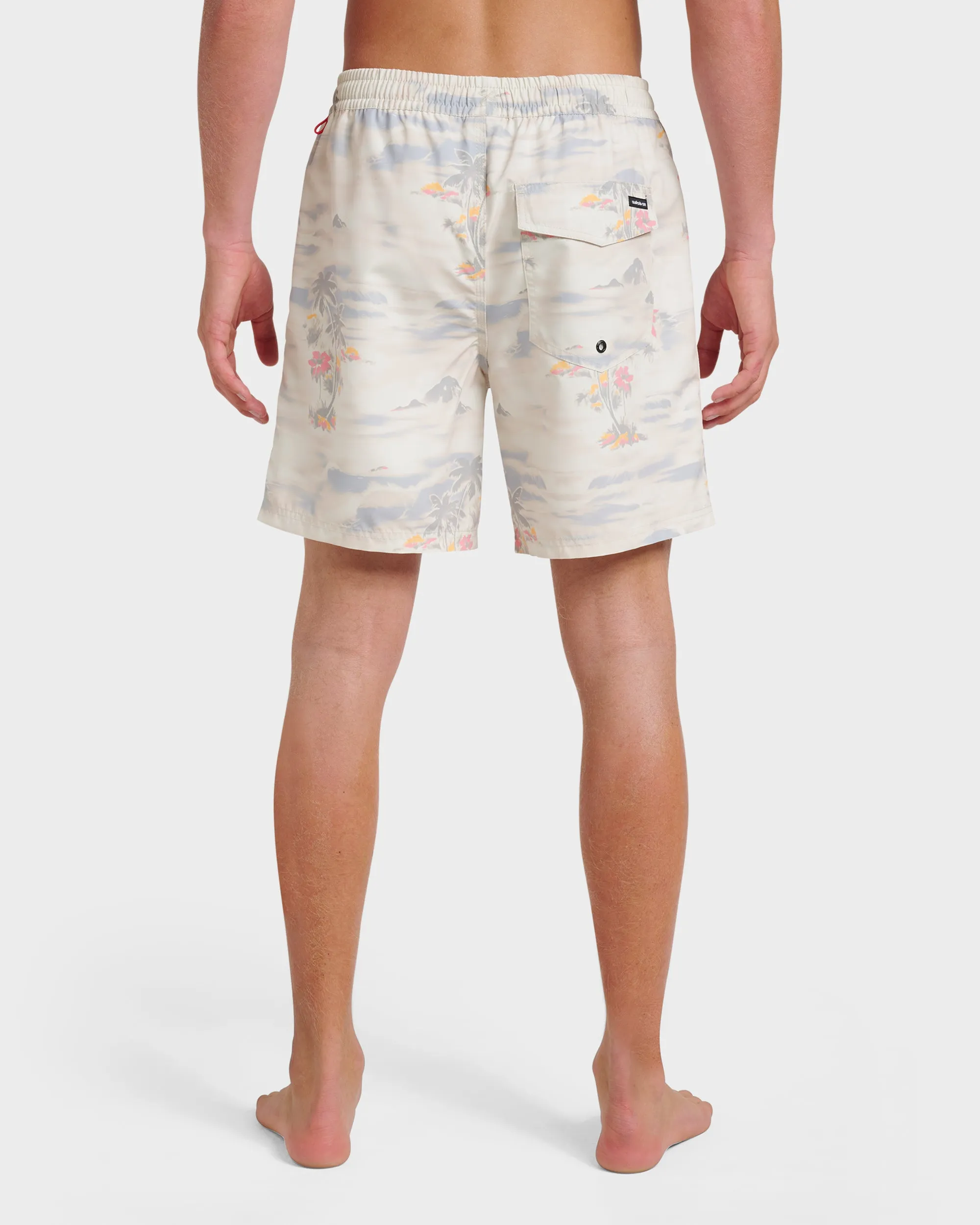 Everyday Tropical Surf 17" Swim Trunks - Moonstruck sold by Quiksilver product image thumbnail 2