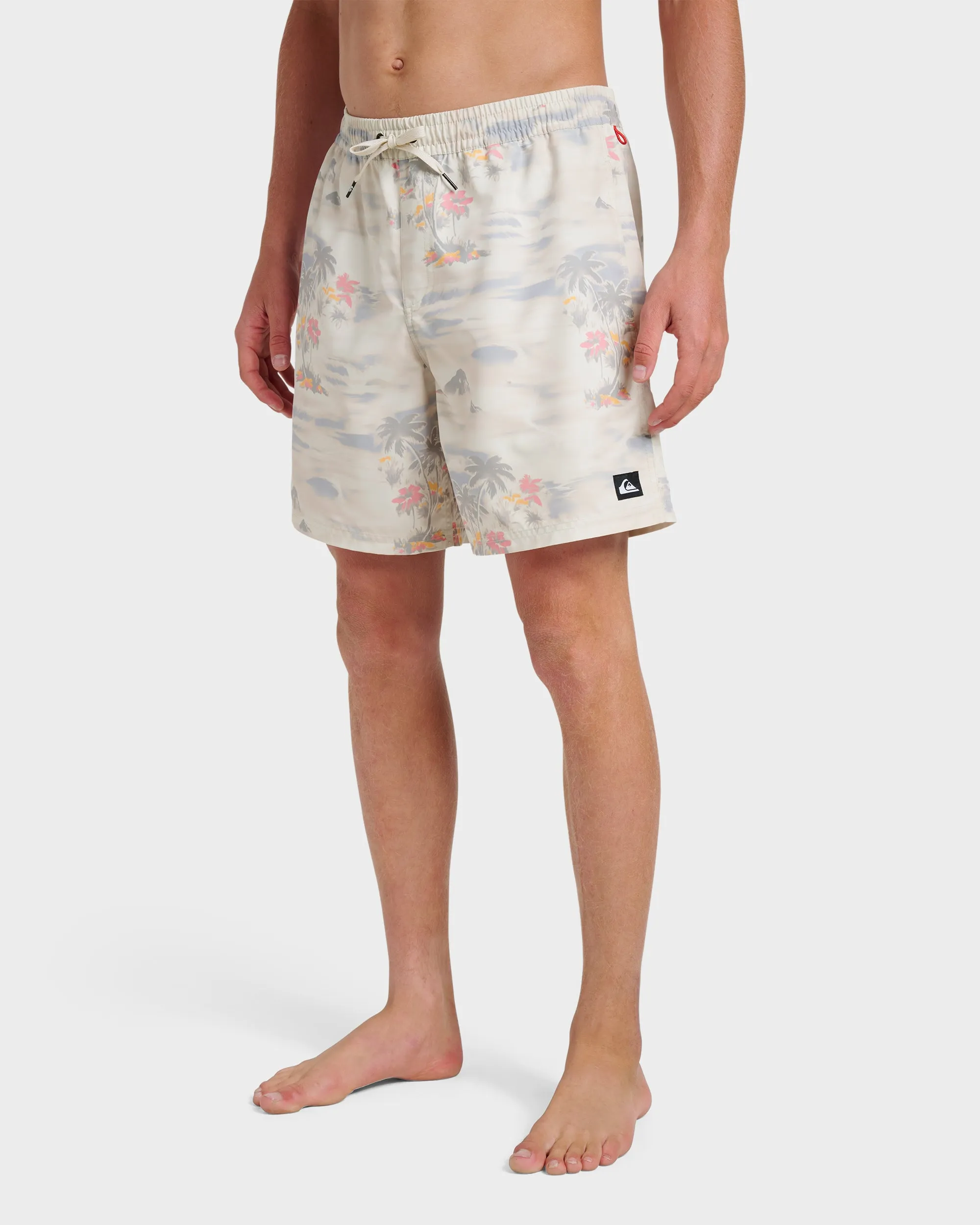 Everyday Tropical Surf 17" Swim Trunks - Moonstruck sold by Quiksilver product image thumbnail 3