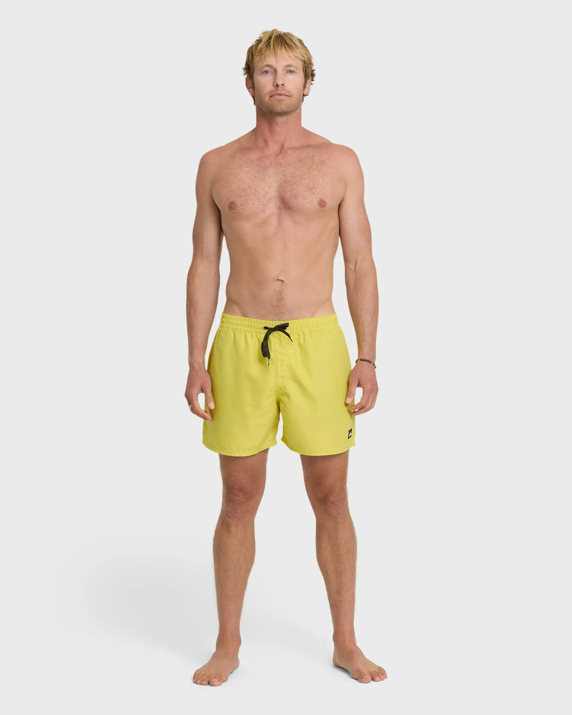 Everyday Solid 15" Swim Trunks - Acacia sold by Quiksilver product image thumbnail 3
