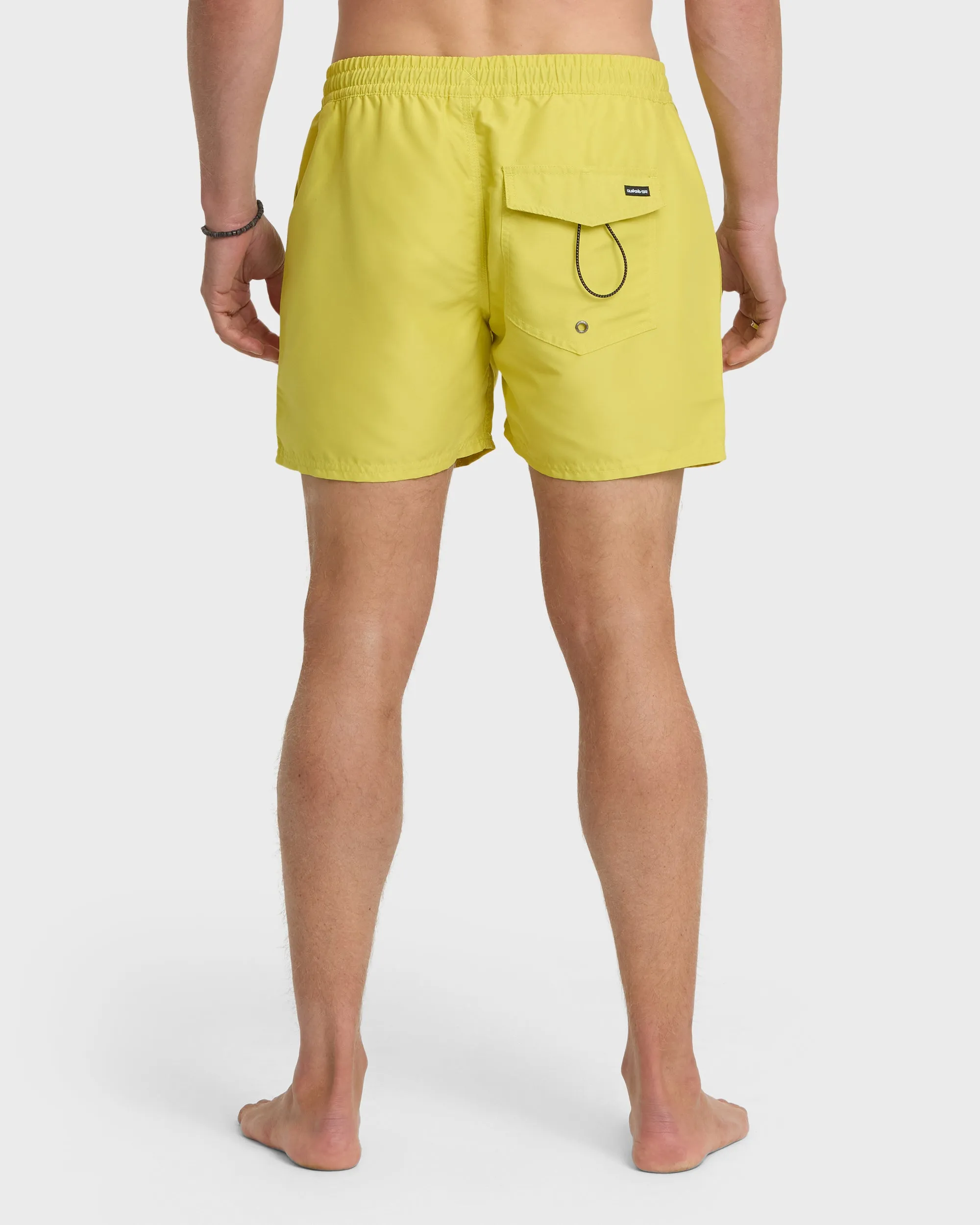 Everyday Solid 15" Swim Trunks - Acacia sold by Quiksilver product image thumbnail 2