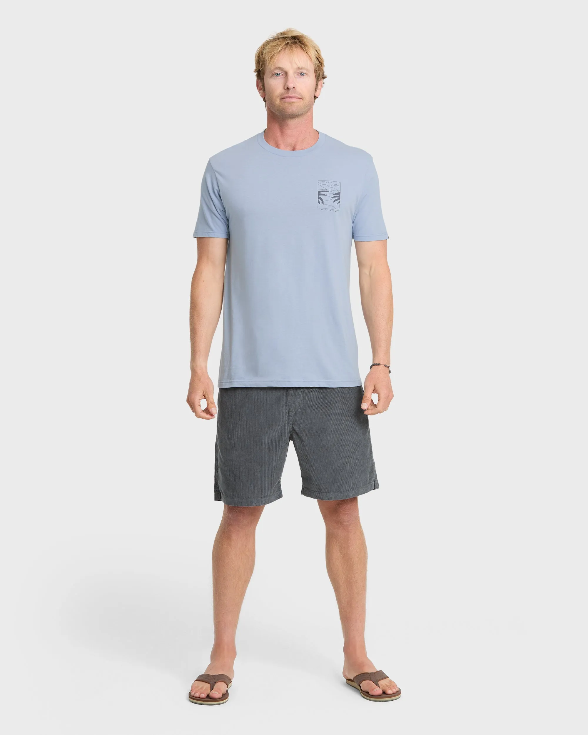 Ca PCH Cruisin T-Shirt - Ashley Blue sold by Quiksilver product image thumbnail 3