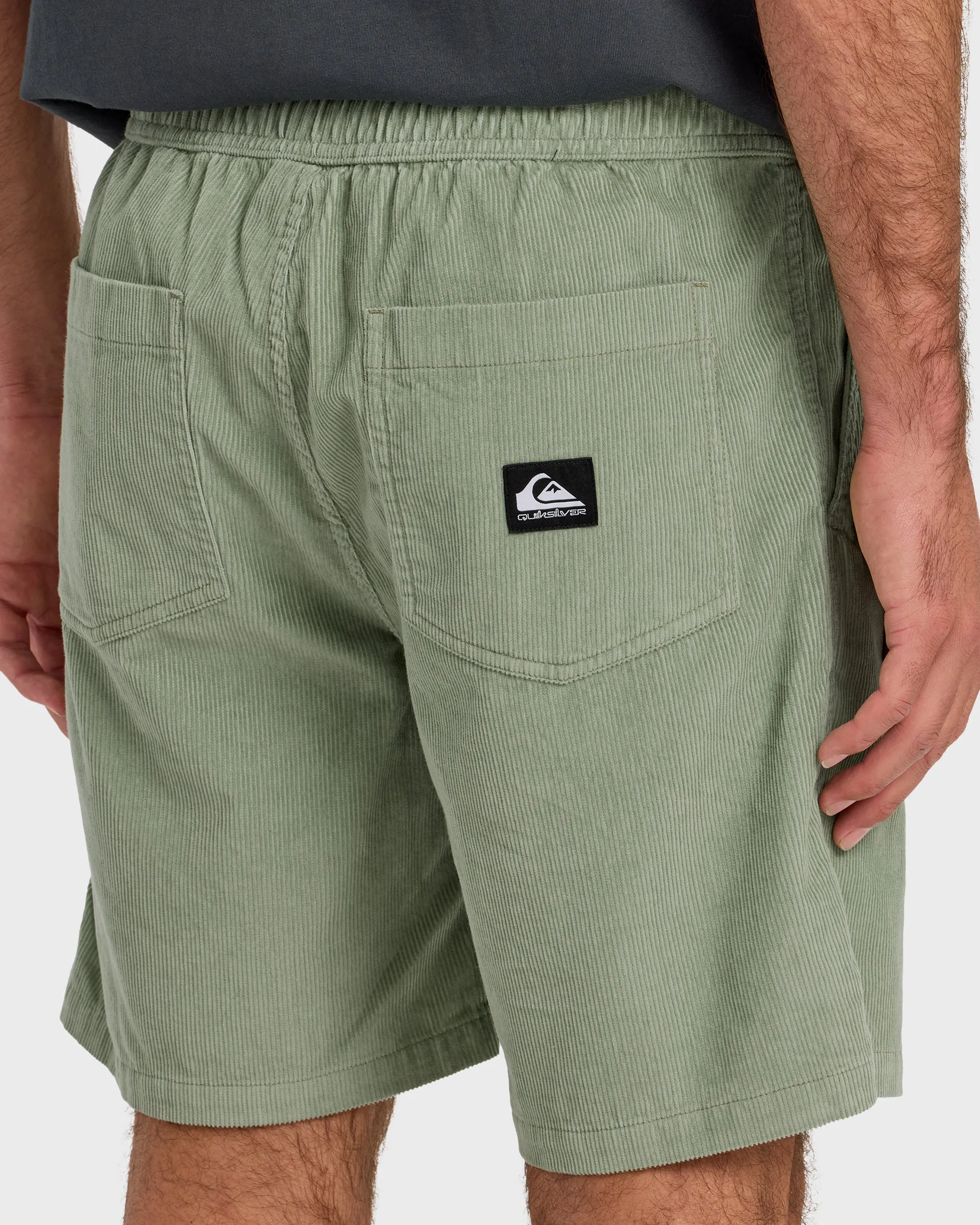 Taxer Cord 18" Elastic Waist Shorts - Lily Pad sold by Quiksilver product image thumbnail 5