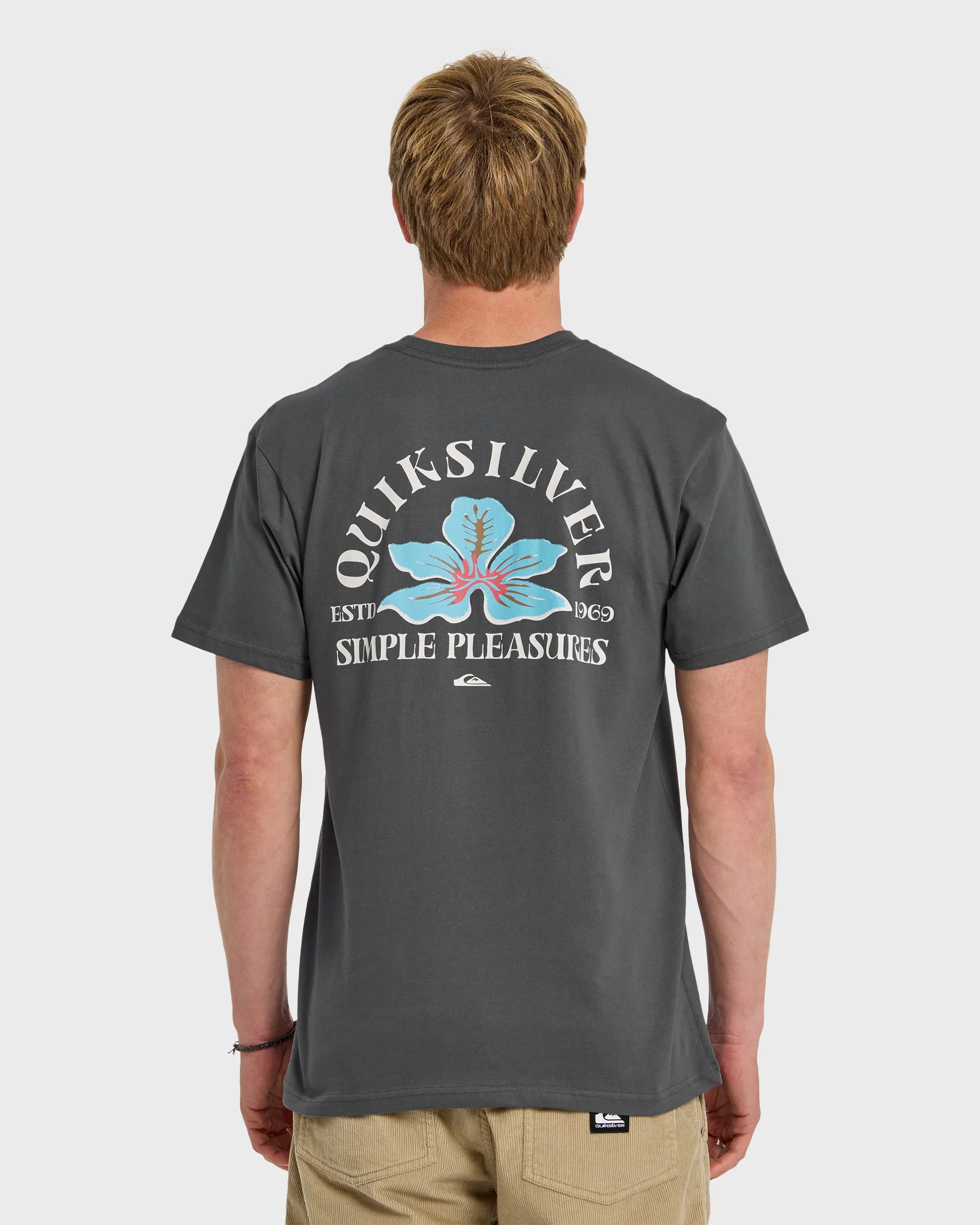 Pleasures Classic Short Sleeve T-Shirt - Iron Gate sold by Quiksilver product image thumbnail 2