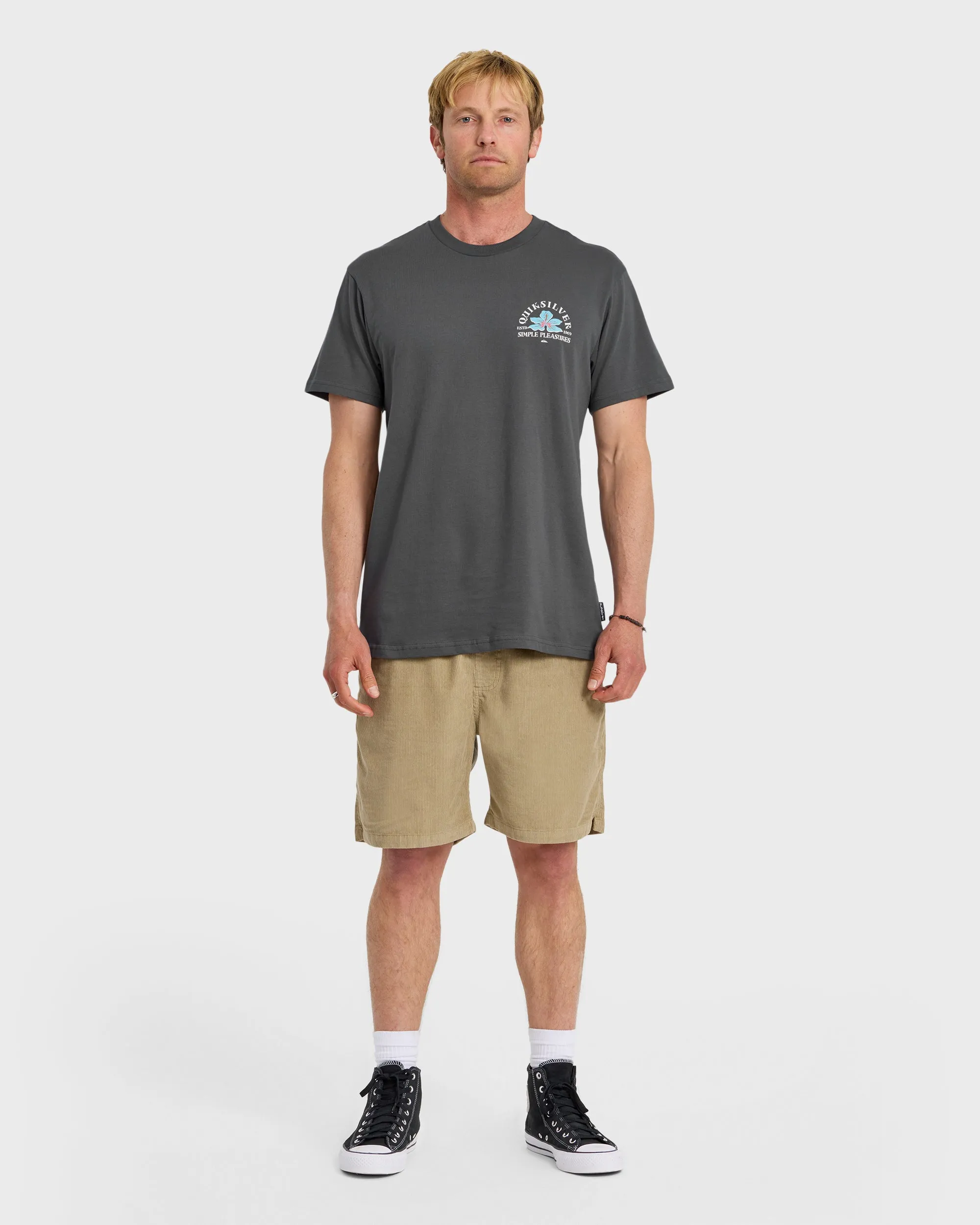 Pleasures Classic Short Sleeve T-Shirt - Iron Gate sold by Quiksilver product image thumbnail 3