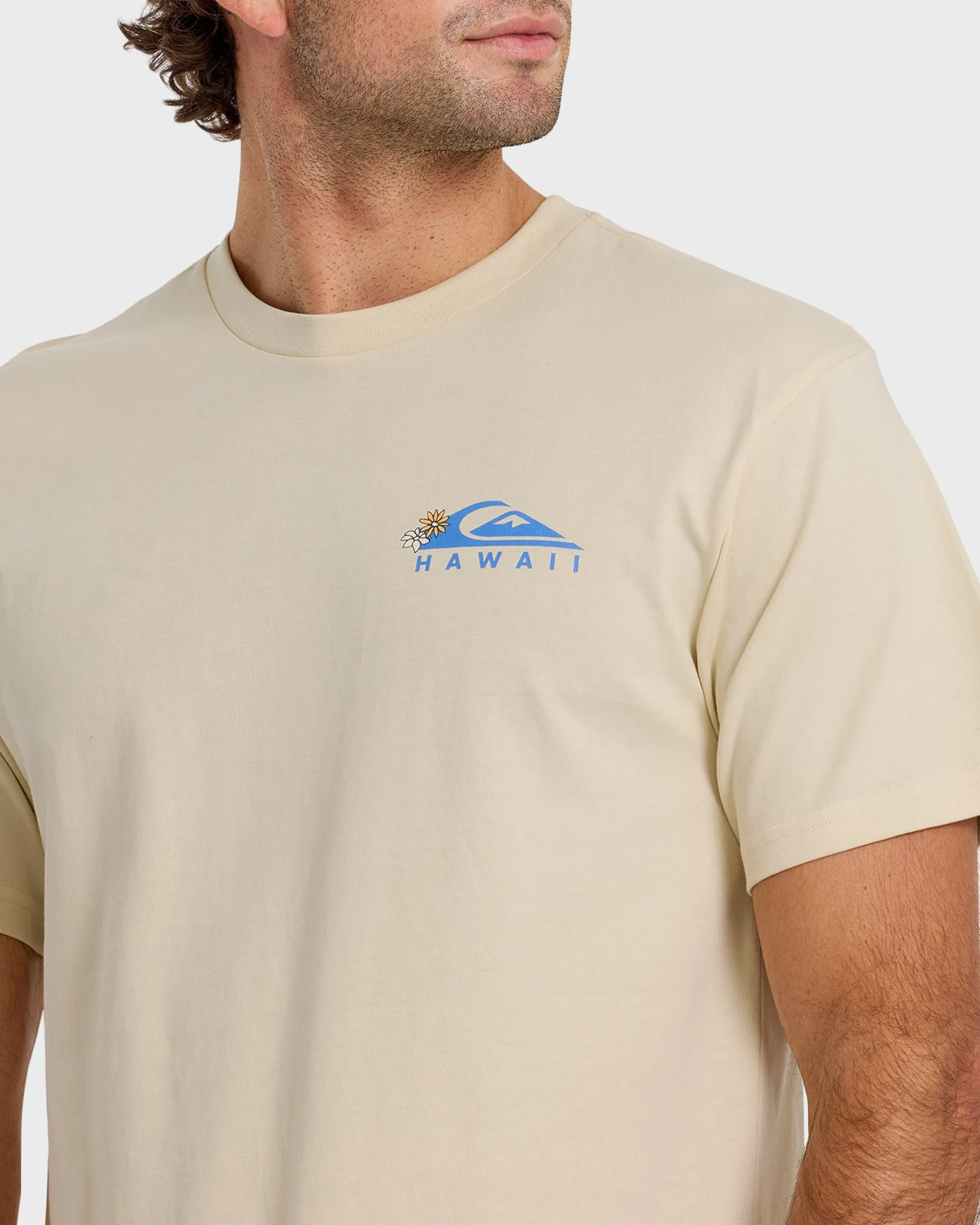 Hi Tube Time Classic Short Sleeve T-Shirt - Bone White sold by Quiksilver product image thumbnail 5