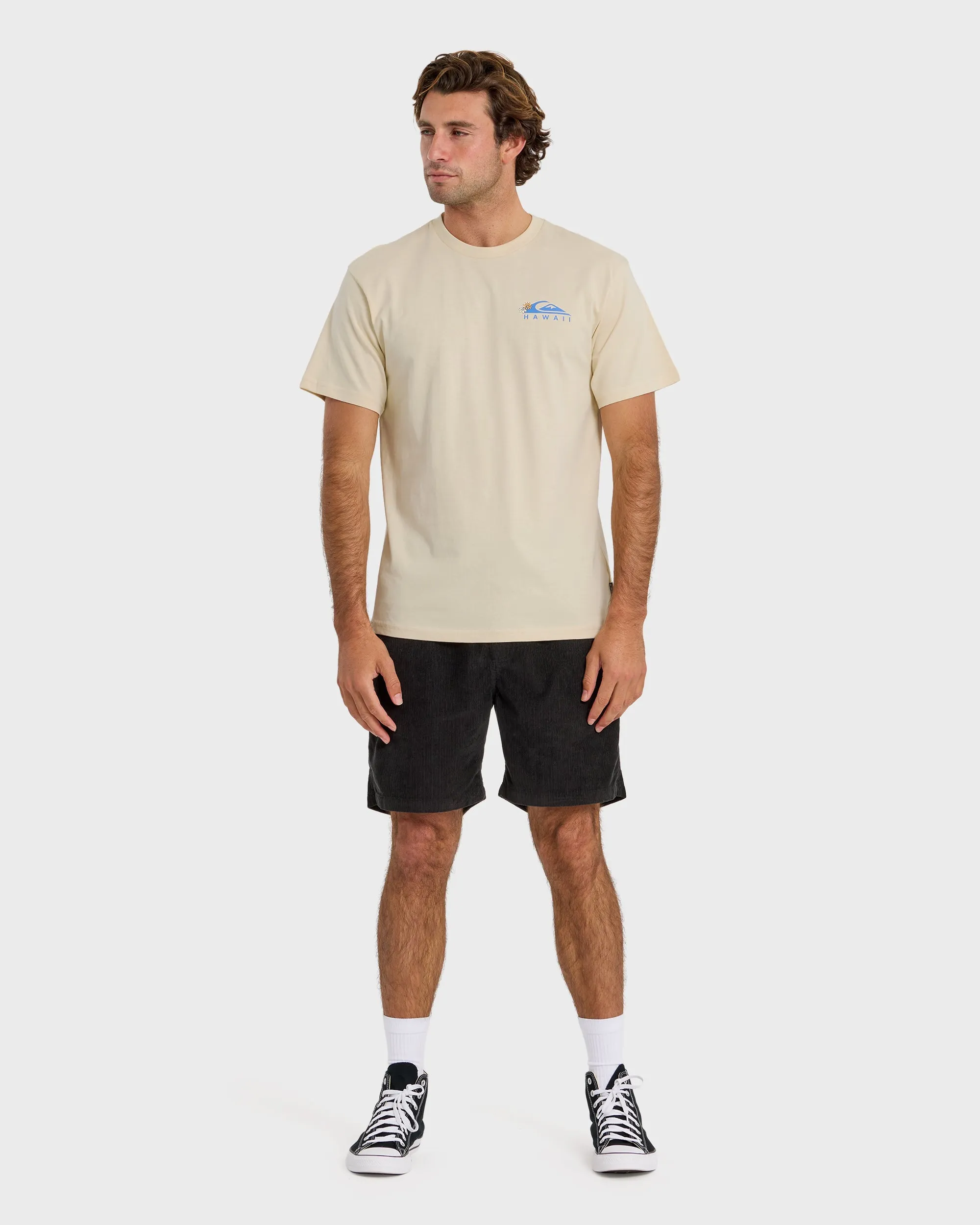 Hi Tube Time Classic Short Sleeve T-Shirt - Bone White sold by Quiksilver product image thumbnail 3
