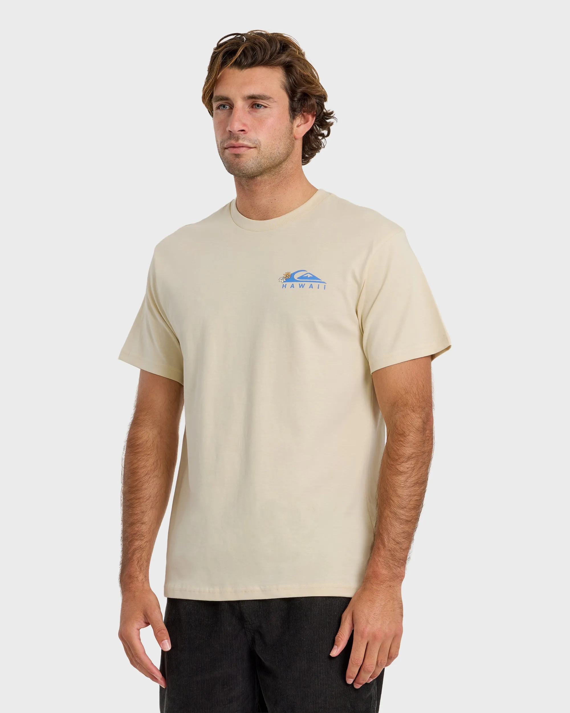 Hi Tube Time Classic Short Sleeve T-Shirt - Bone White sold by Quiksilver product image thumbnail 4