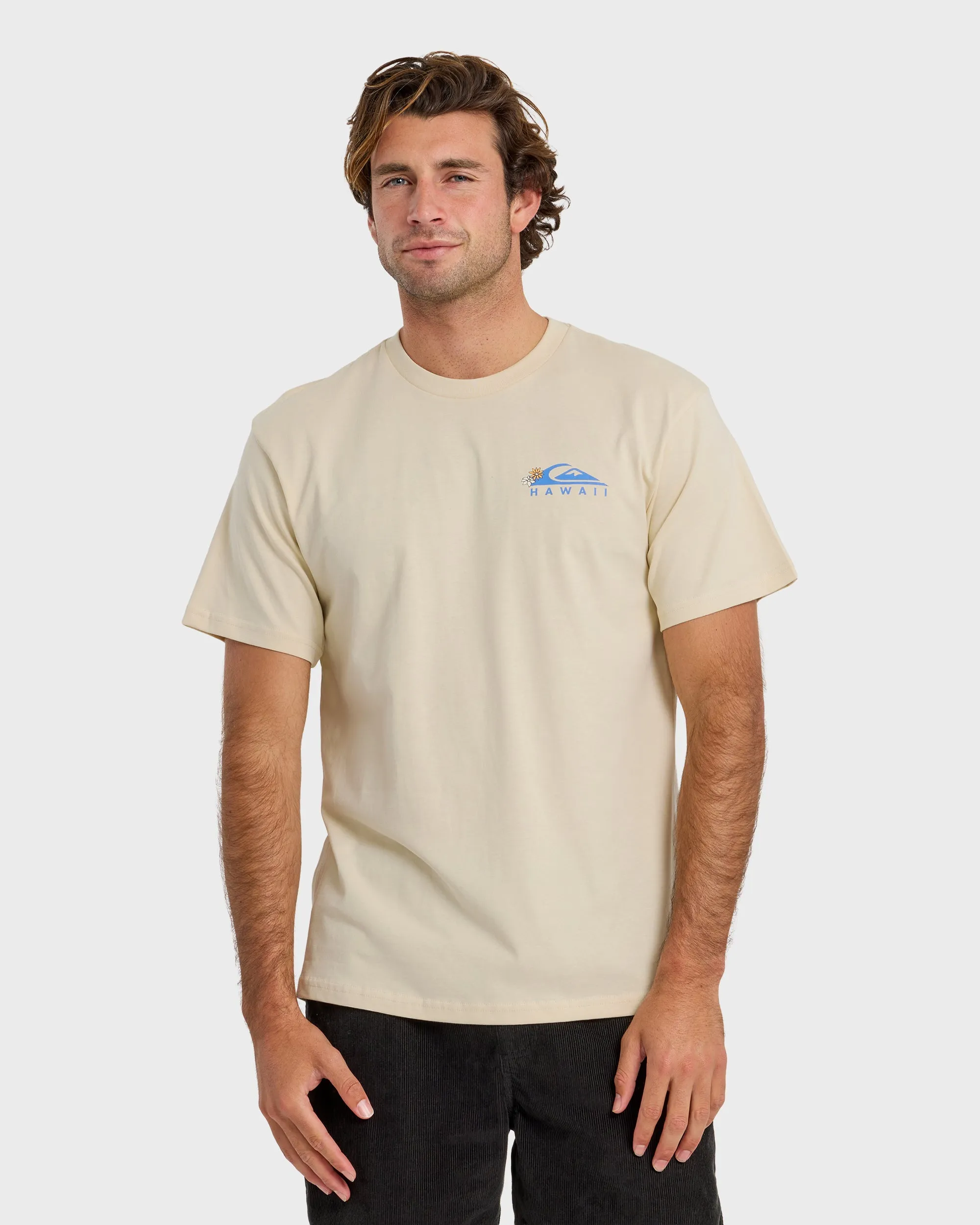 Hi Tube Time Classic Short Sleeve T-Shirt - Bone White sold by Quiksilver