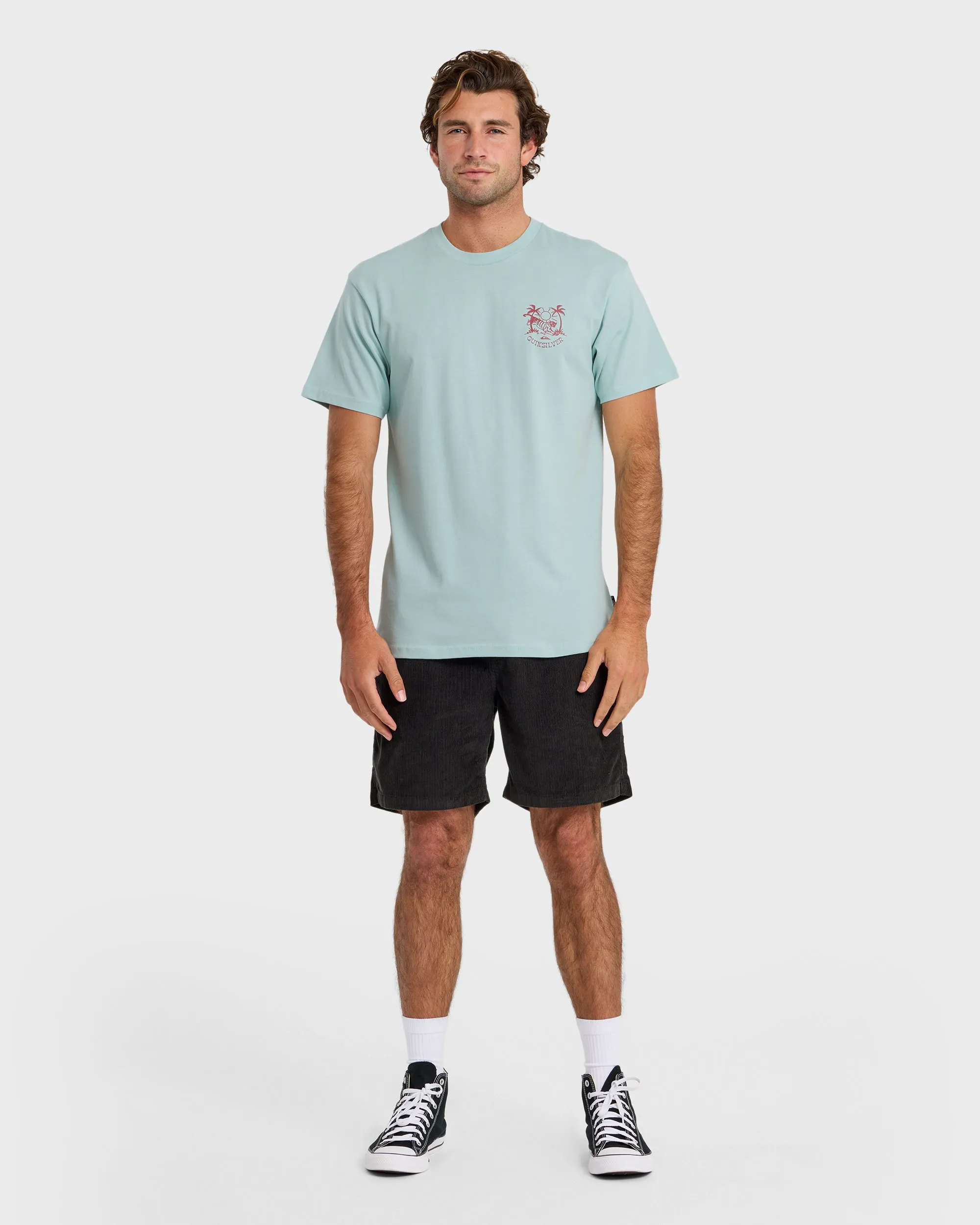 In The Wild Classic Short Sleeve T-Shirt - Blue Haze sold by Quiksilver product image thumbnail 3