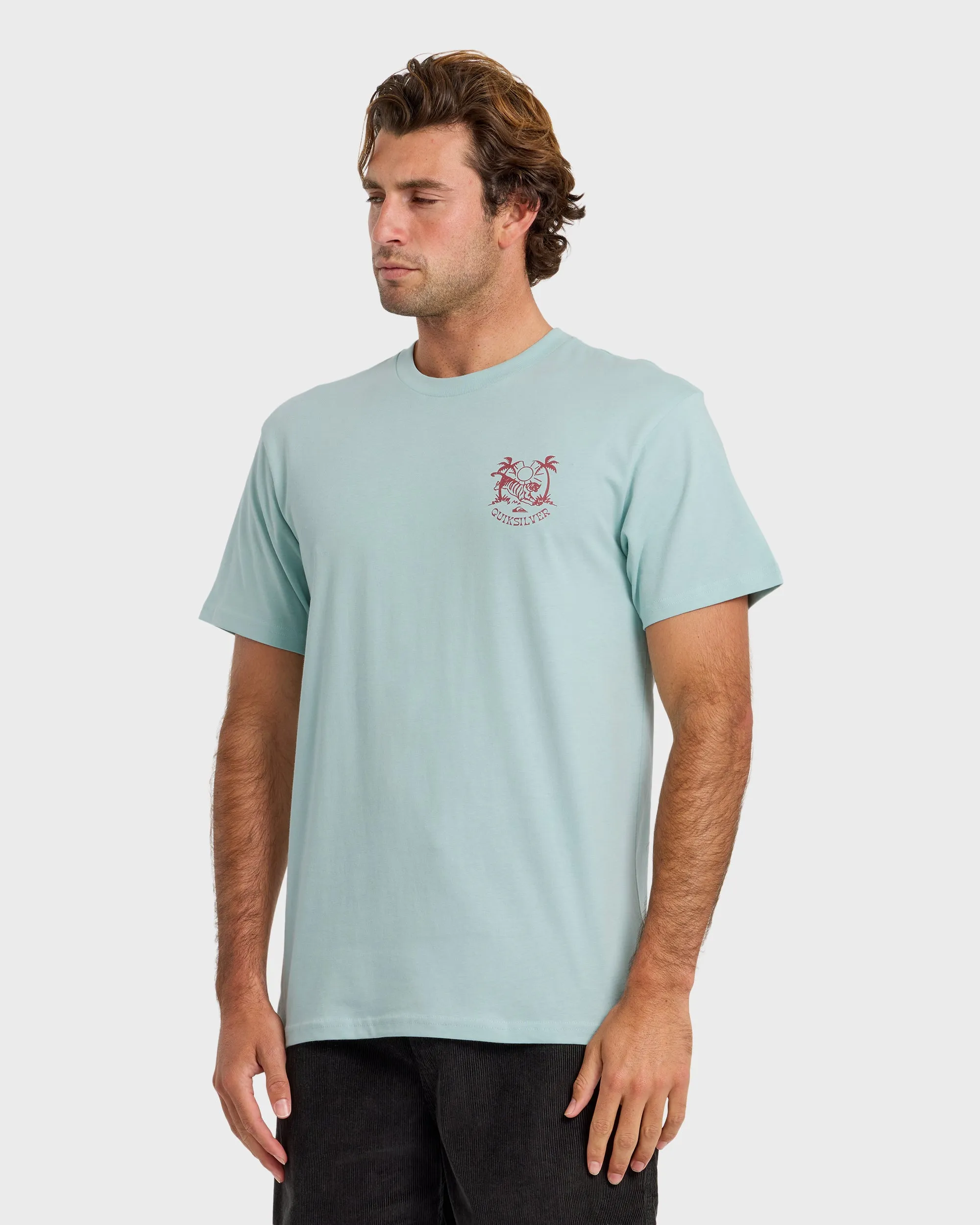 In The Wild Classic Short Sleeve T-Shirt - Blue Haze sold by Quiksilver product image thumbnail 4