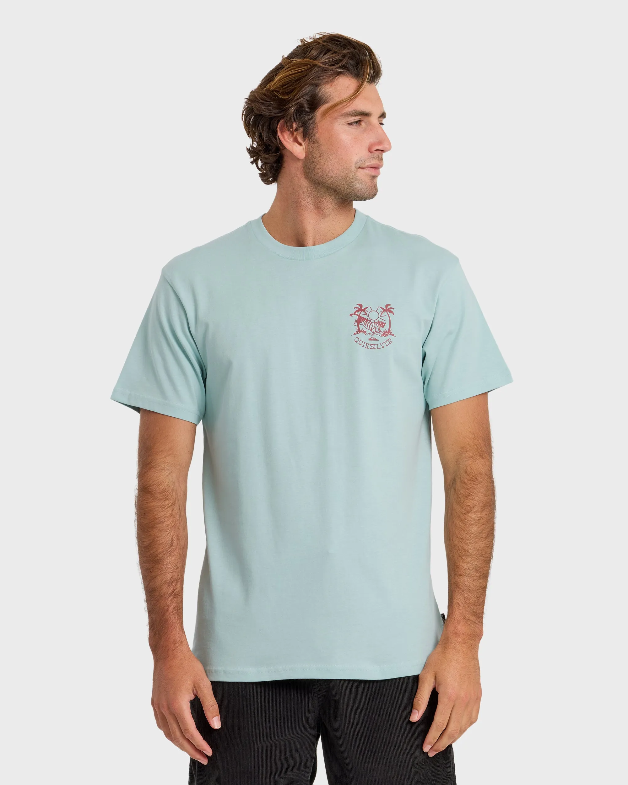In The Wild Classic Short Sleeve T-Shirt - Blue Haze sold by Quiksilver