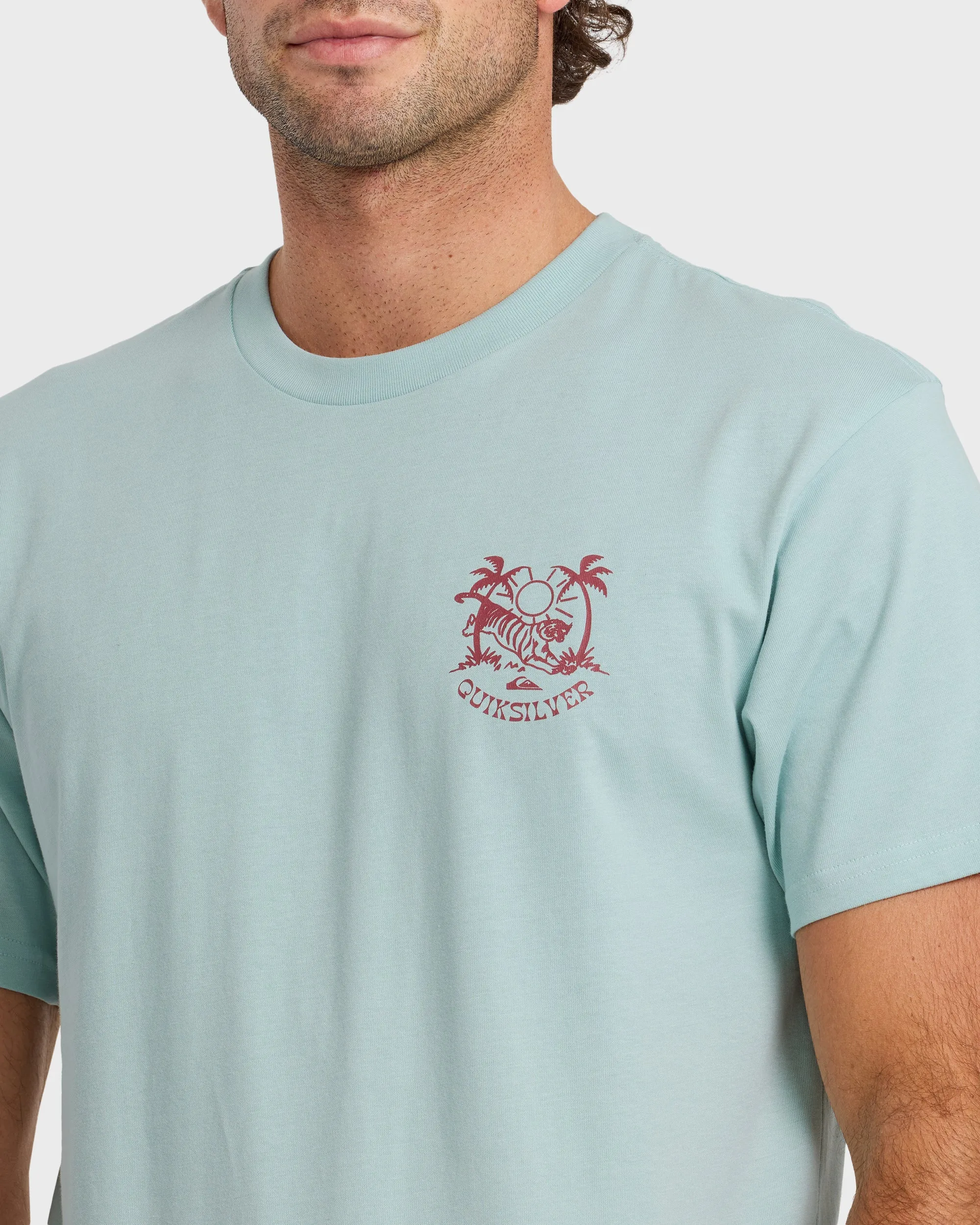 In The Wild Classic Short Sleeve T-Shirt - Blue Haze sold by Quiksilver product image thumbnail 5