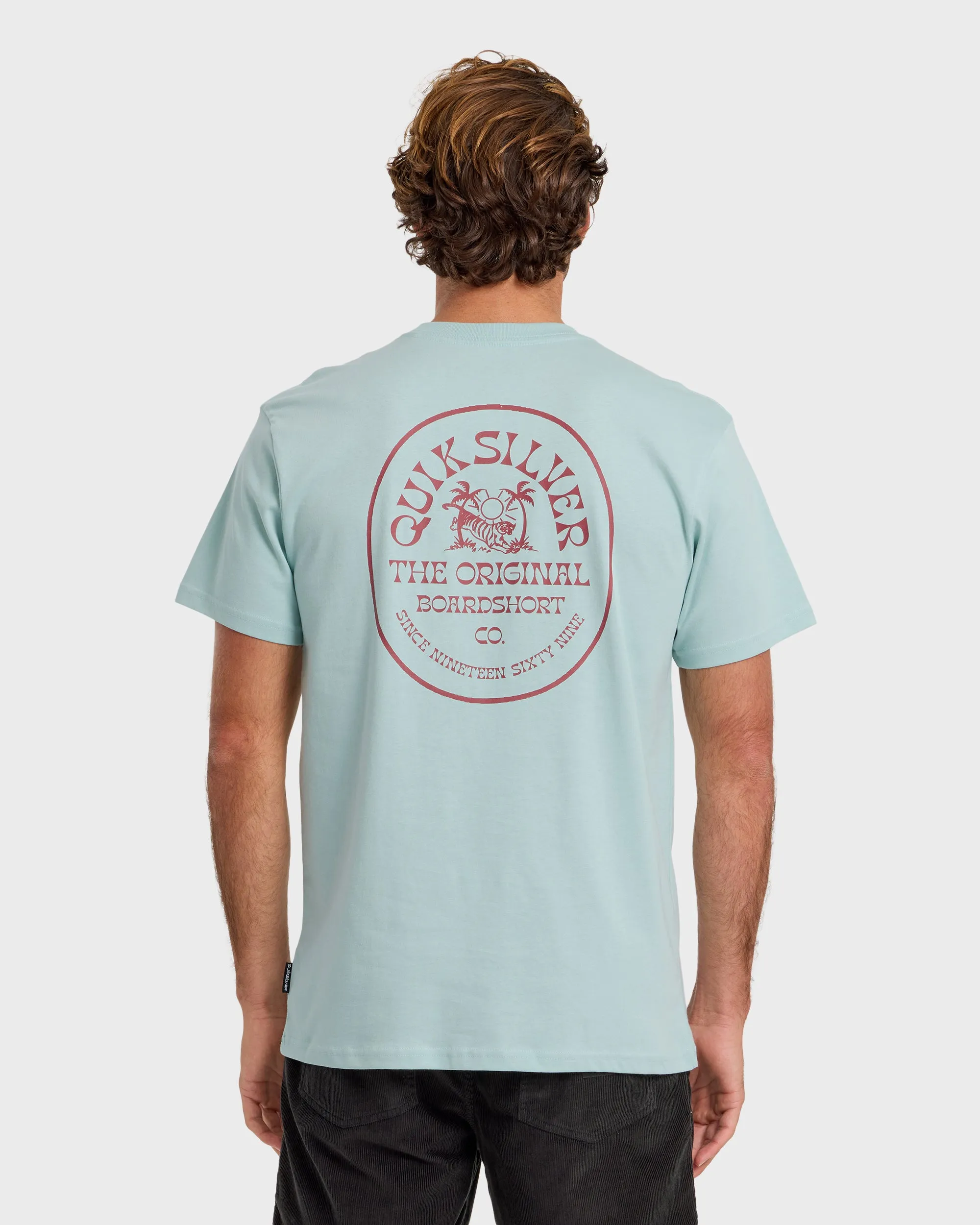 In The Wild Classic Short Sleeve T-Shirt - Blue Haze sold by Quiksilver product image thumbnail 2