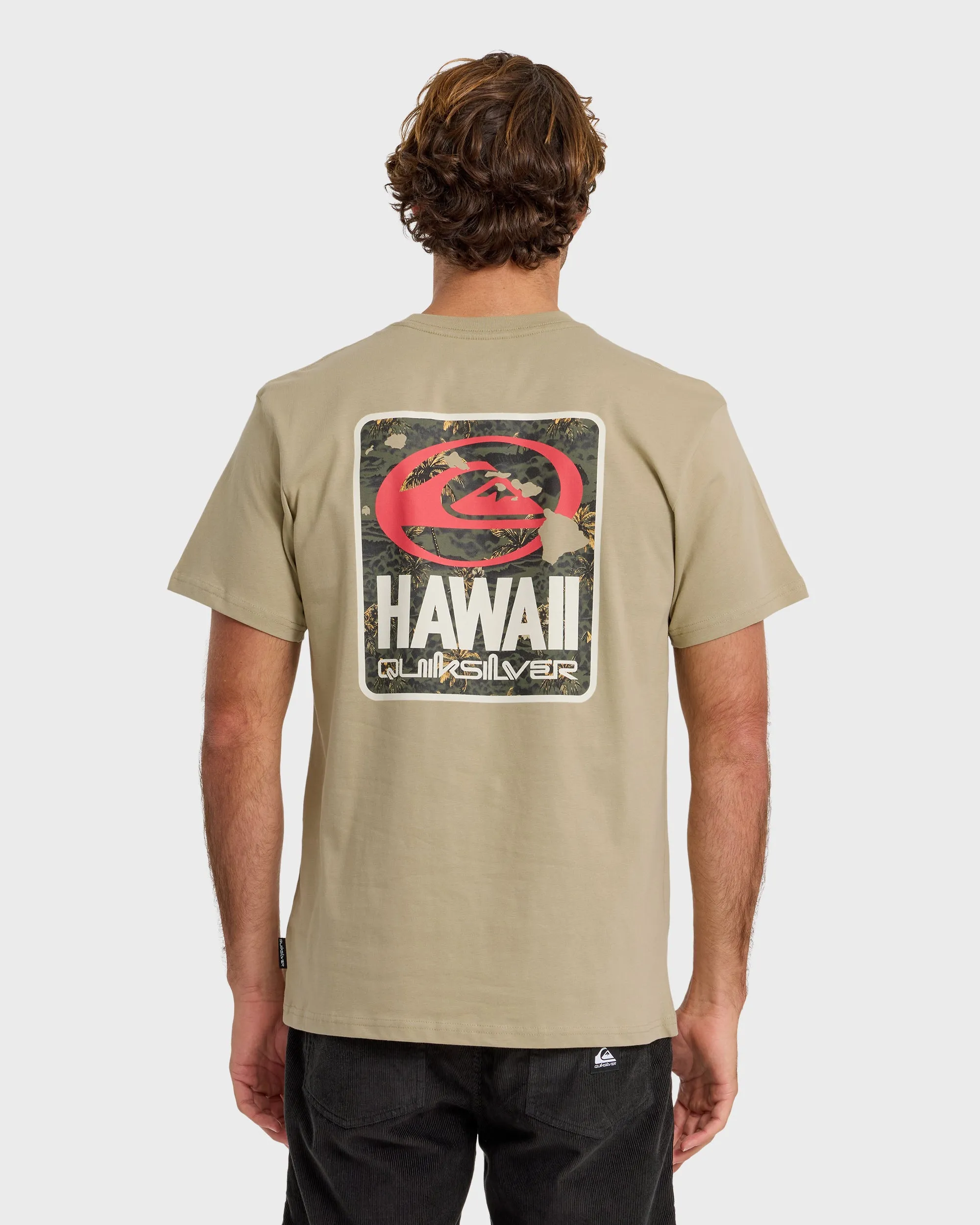 HI Quiki Islands Short Sleeve T-Shirt - Seneca Rock sold by Quiksilver product image thumbnail 2