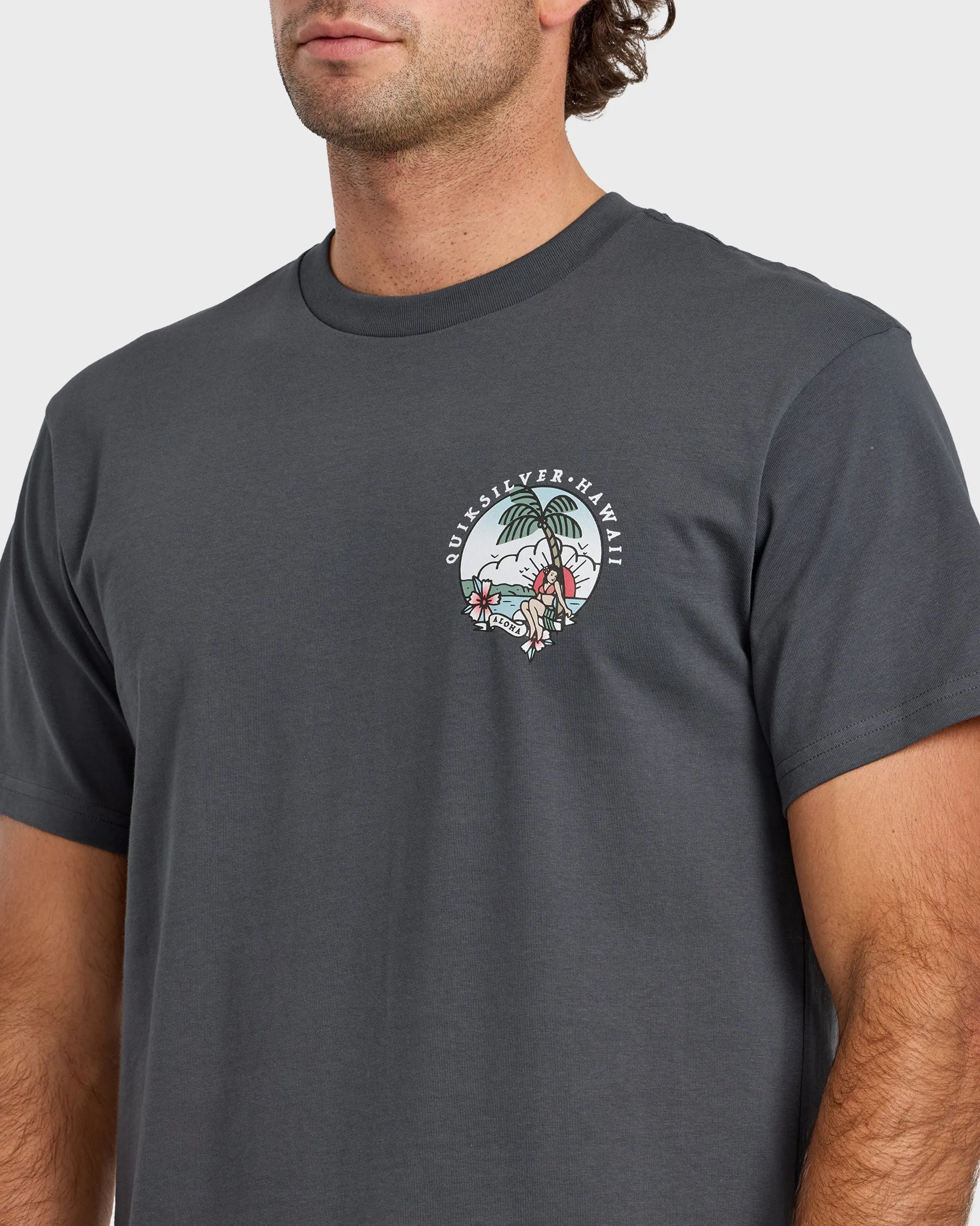 HI Hula Sunset T-Shirt - Iron Gate sold by Quiksilver product image thumbnail 5