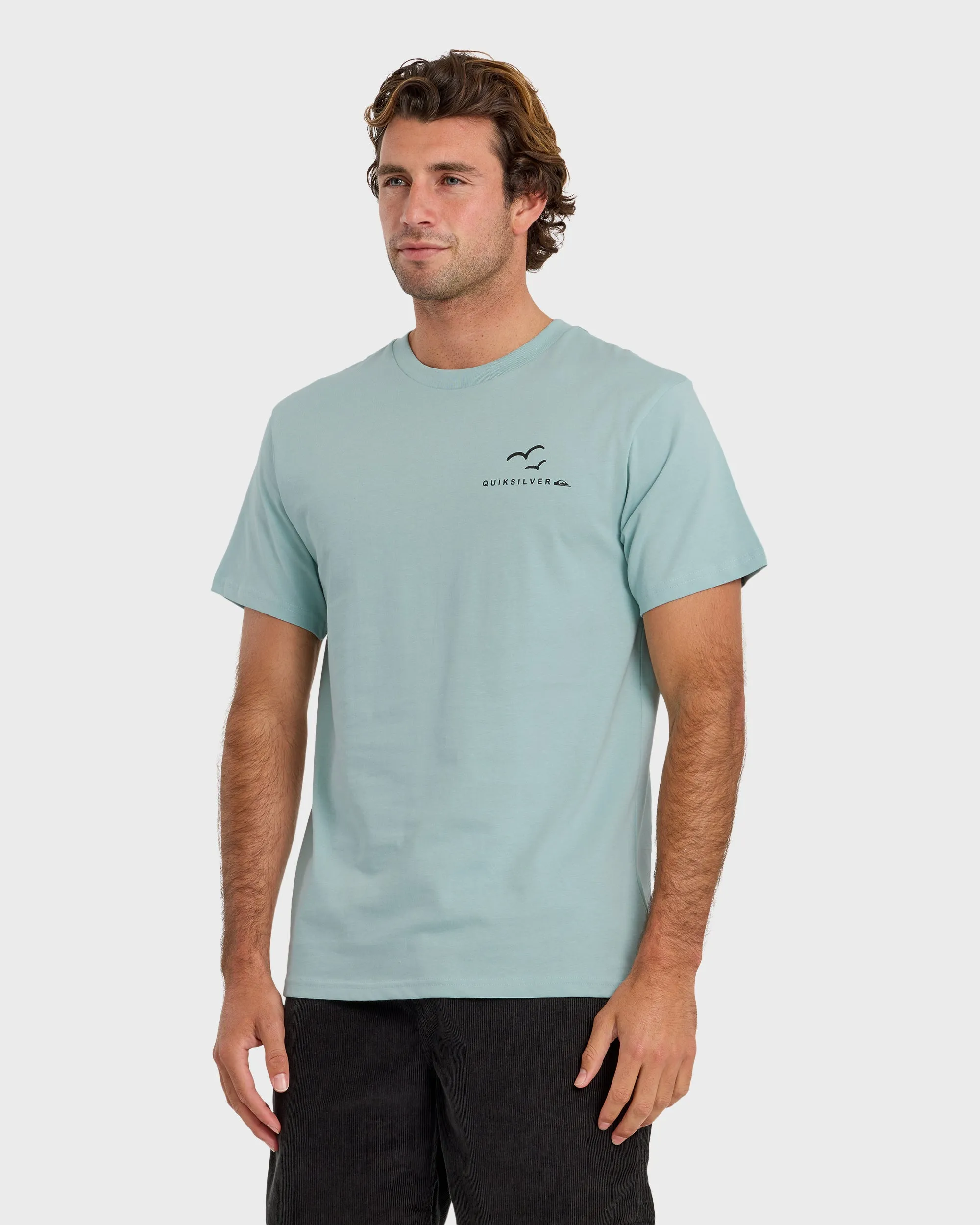 Happy Trails Short Sleeve T-Shirt - Blue Haze sold by Quiksilver product image thumbnail 4