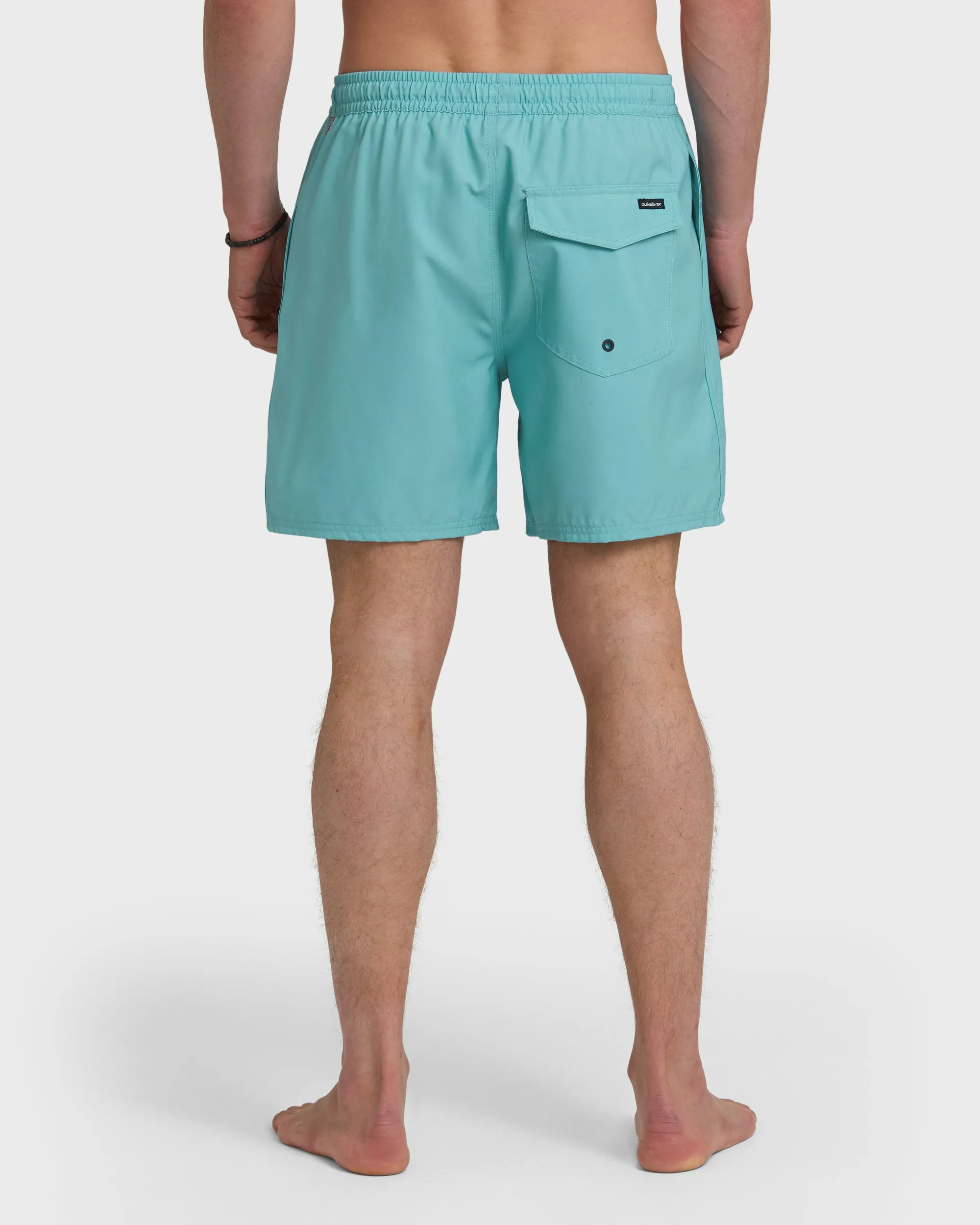 Everyday Solid 17" Swim Trunks - Aqua sold by Quiksilver product image thumbnail 2