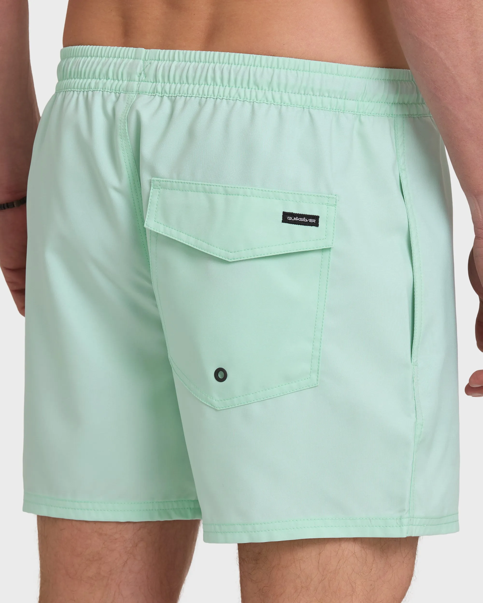 Everyday Solid 17" Swim Trunks - Brook Green sold by Quiksilver product image thumbnail 5